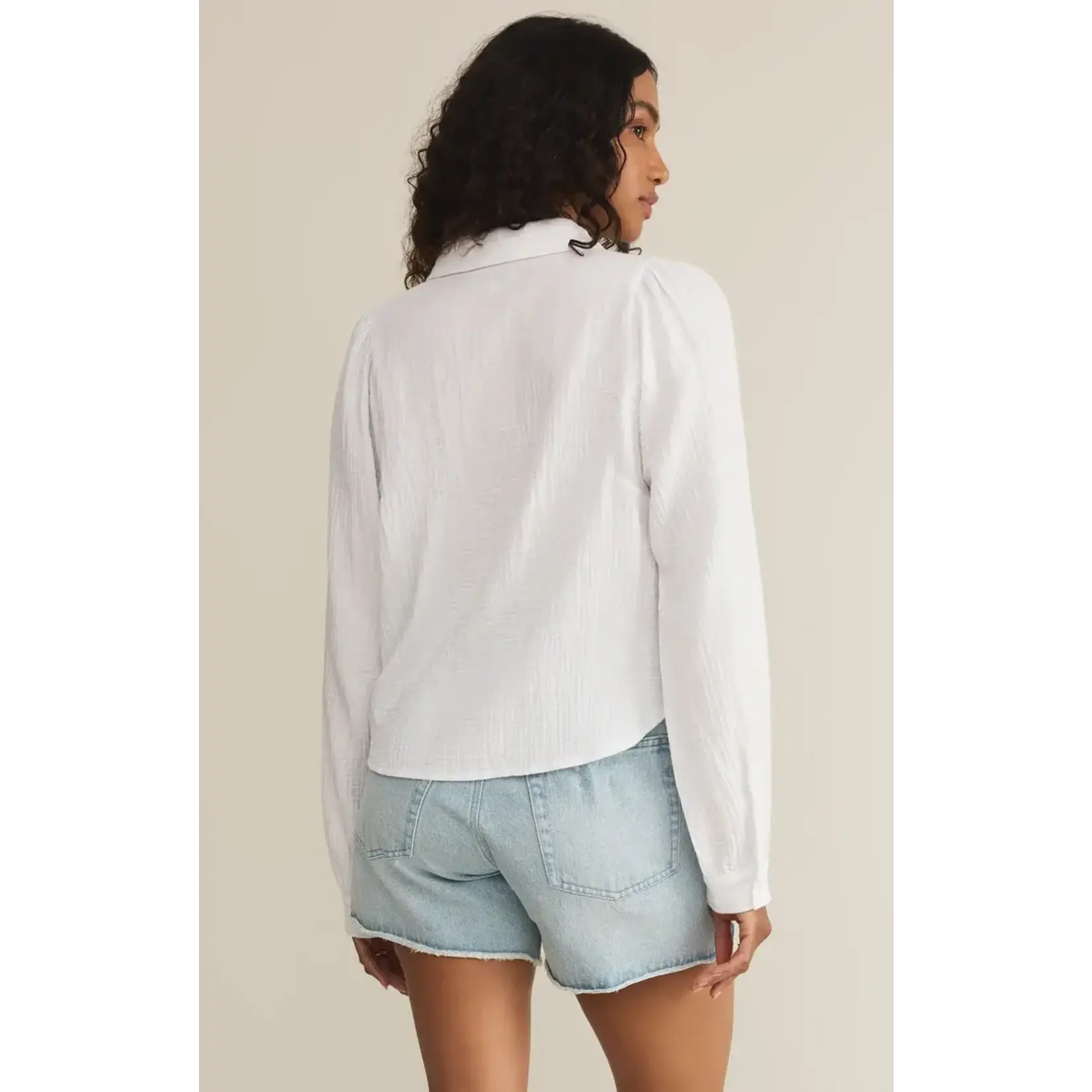 Z Supply Campo Button Up Top