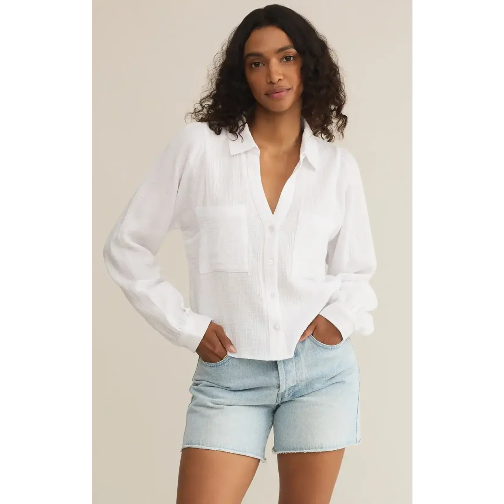Z Supply Campo Button Up Top