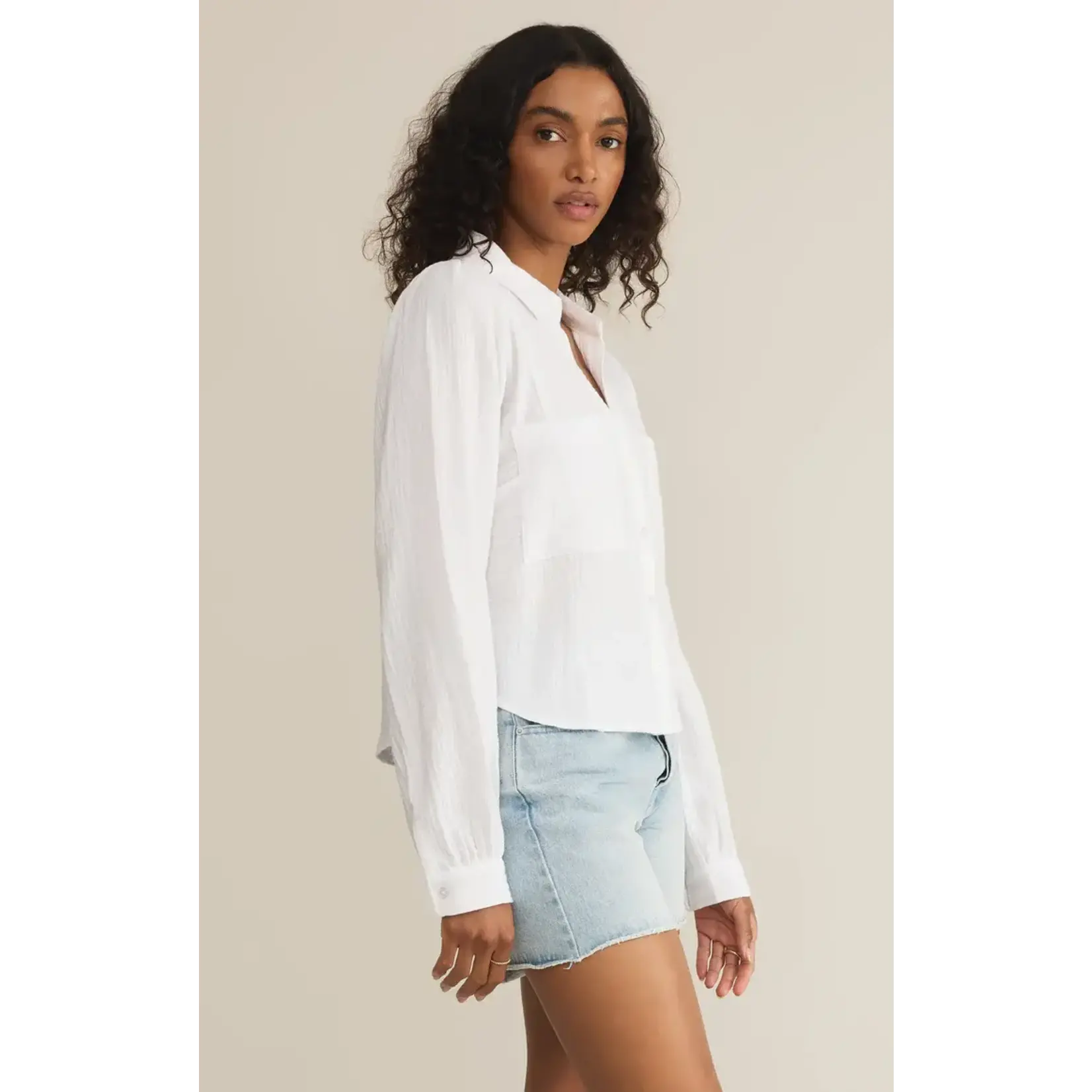 Z Supply Campo Button Up Top