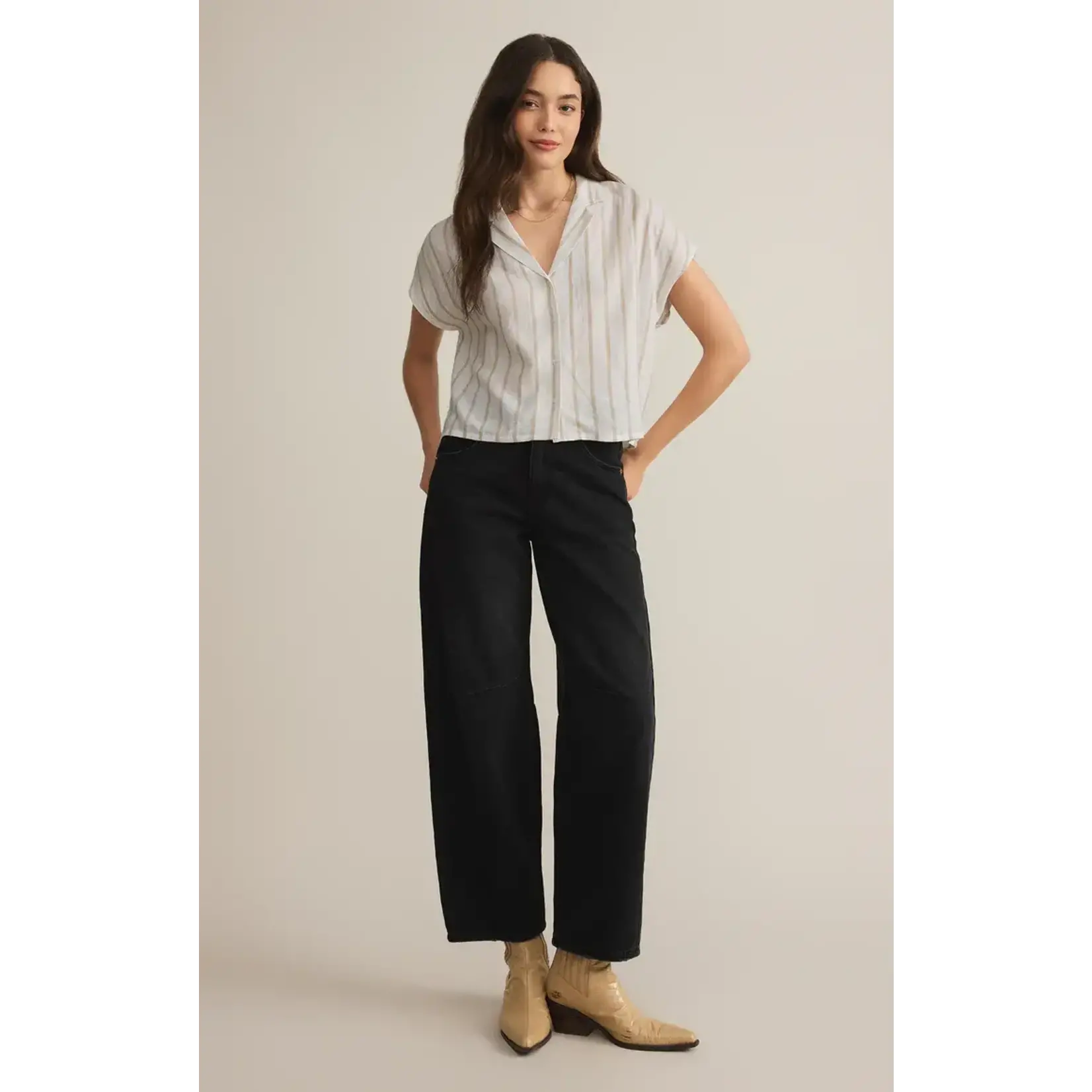Z Supply PArallel Button Down Top