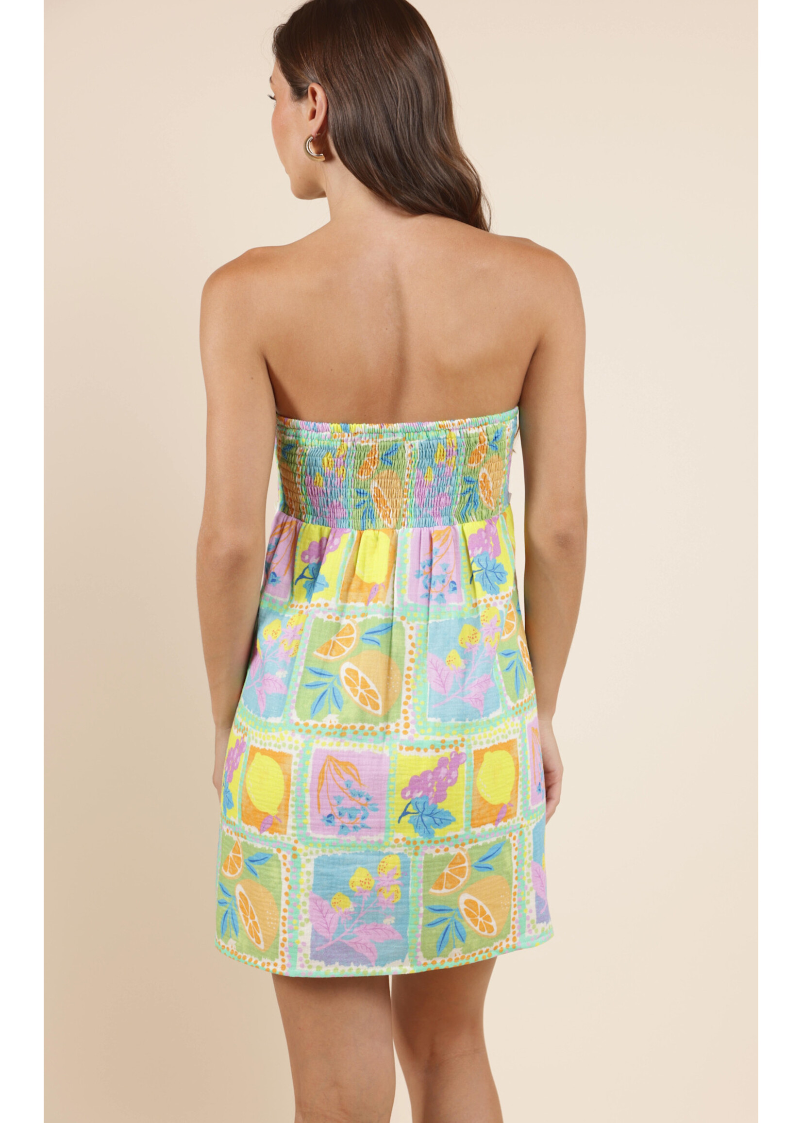 Sadie Sage SS Mimosa Mini Dress