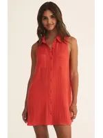 Z Supply New Light Mini Dress