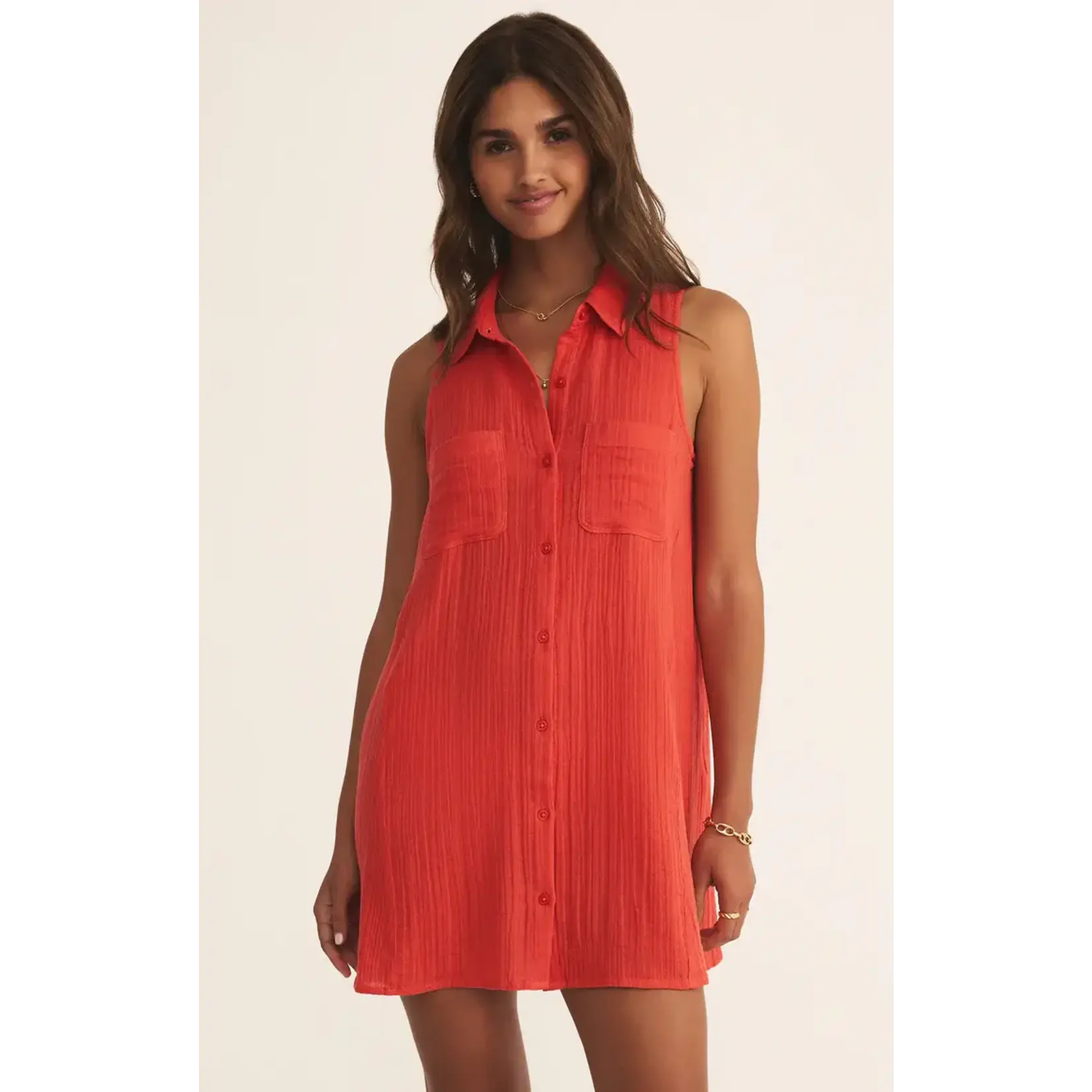 Z Supply New Light Mini Dress