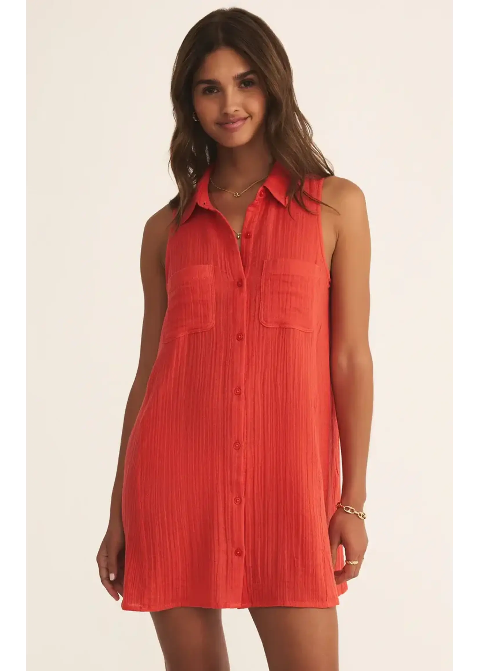 Z Supply New Light Mini Dress