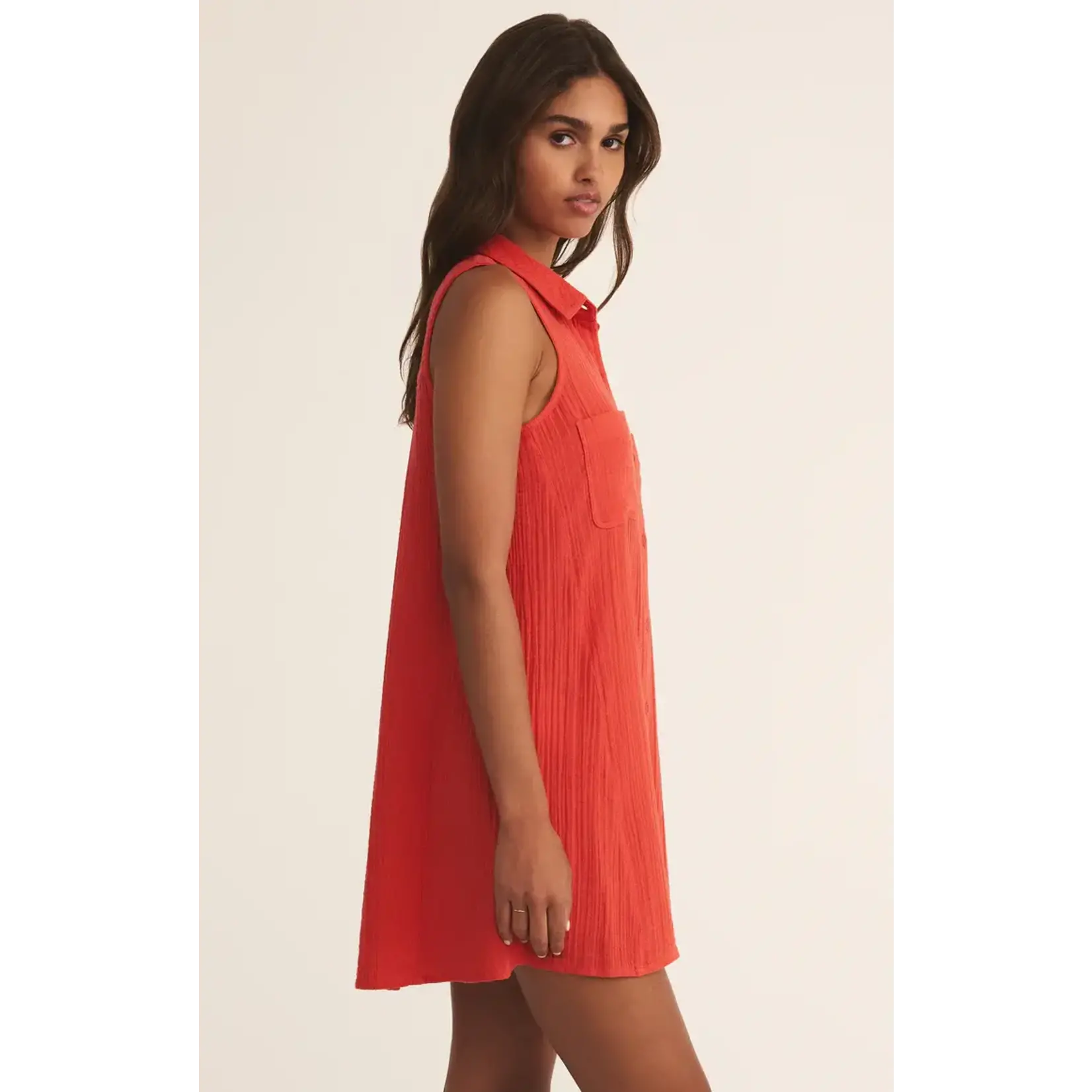 Z Supply New Light Mini Dress