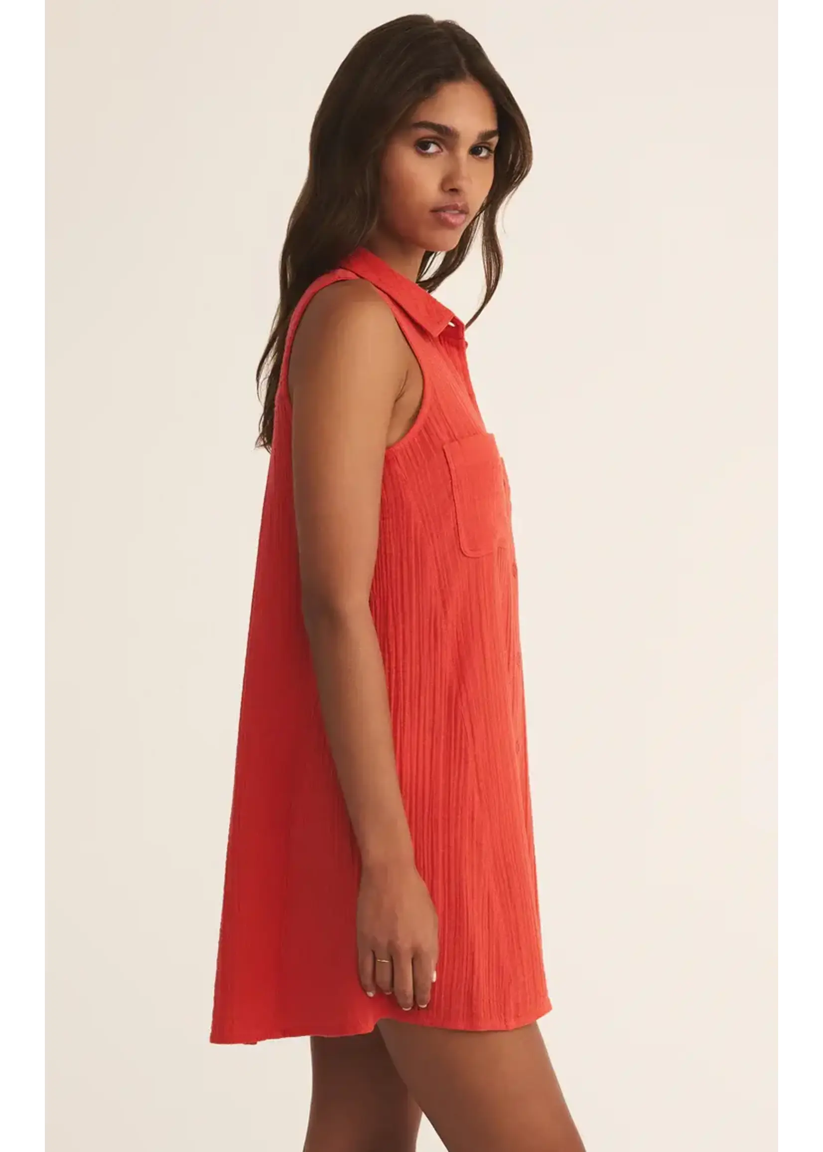 Z Supply New Light Mini Dress