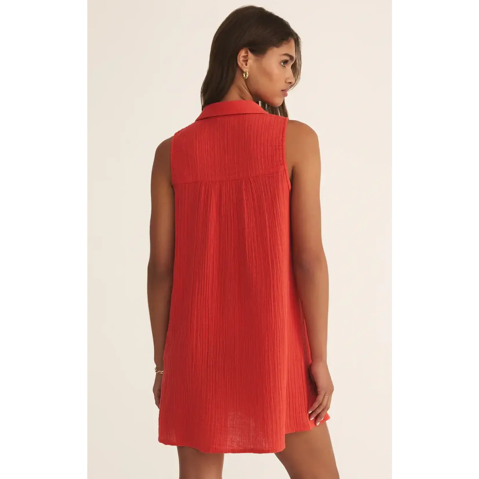 Z Supply New Light Mini Dress