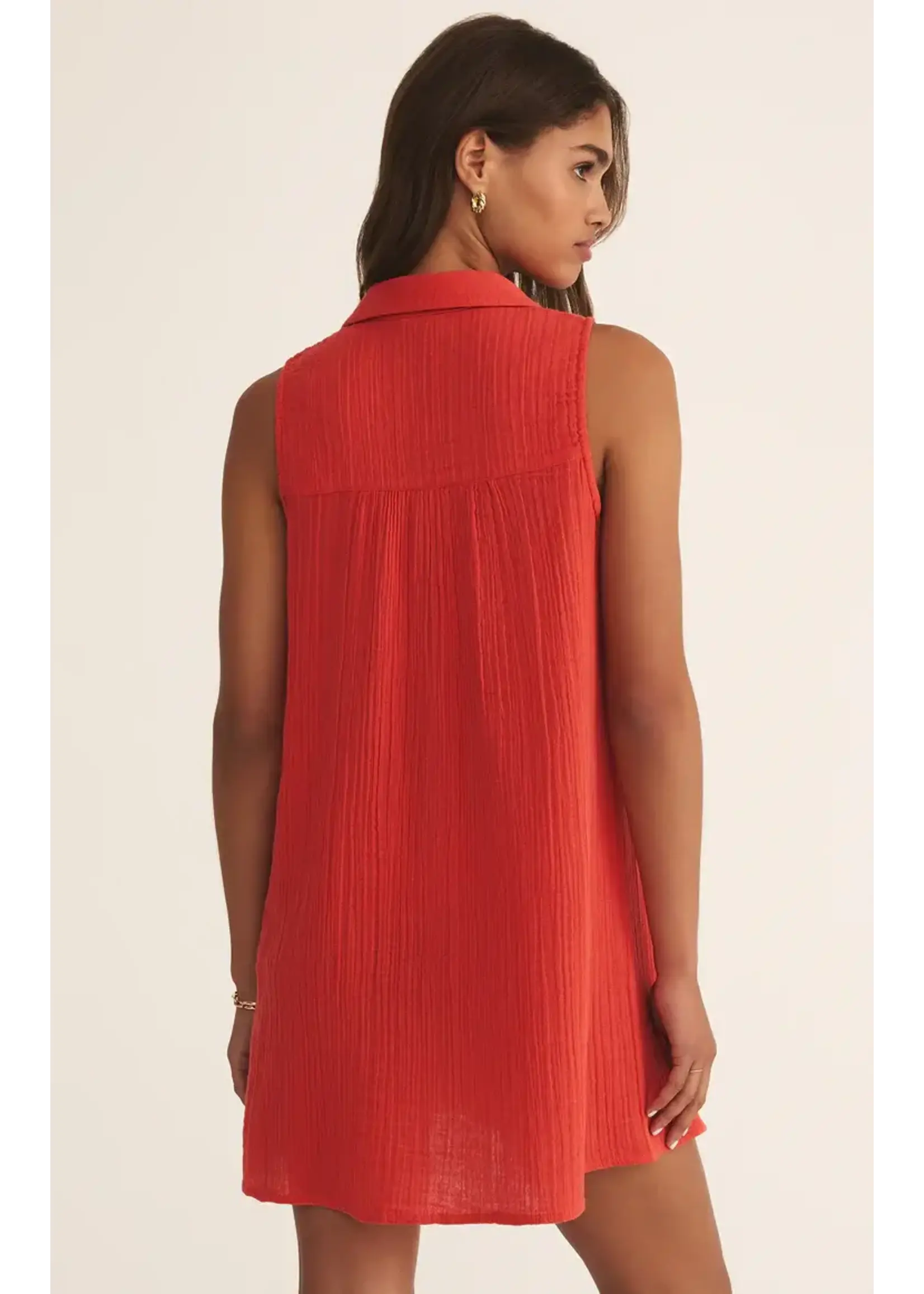 Z Supply New Light Mini Dress