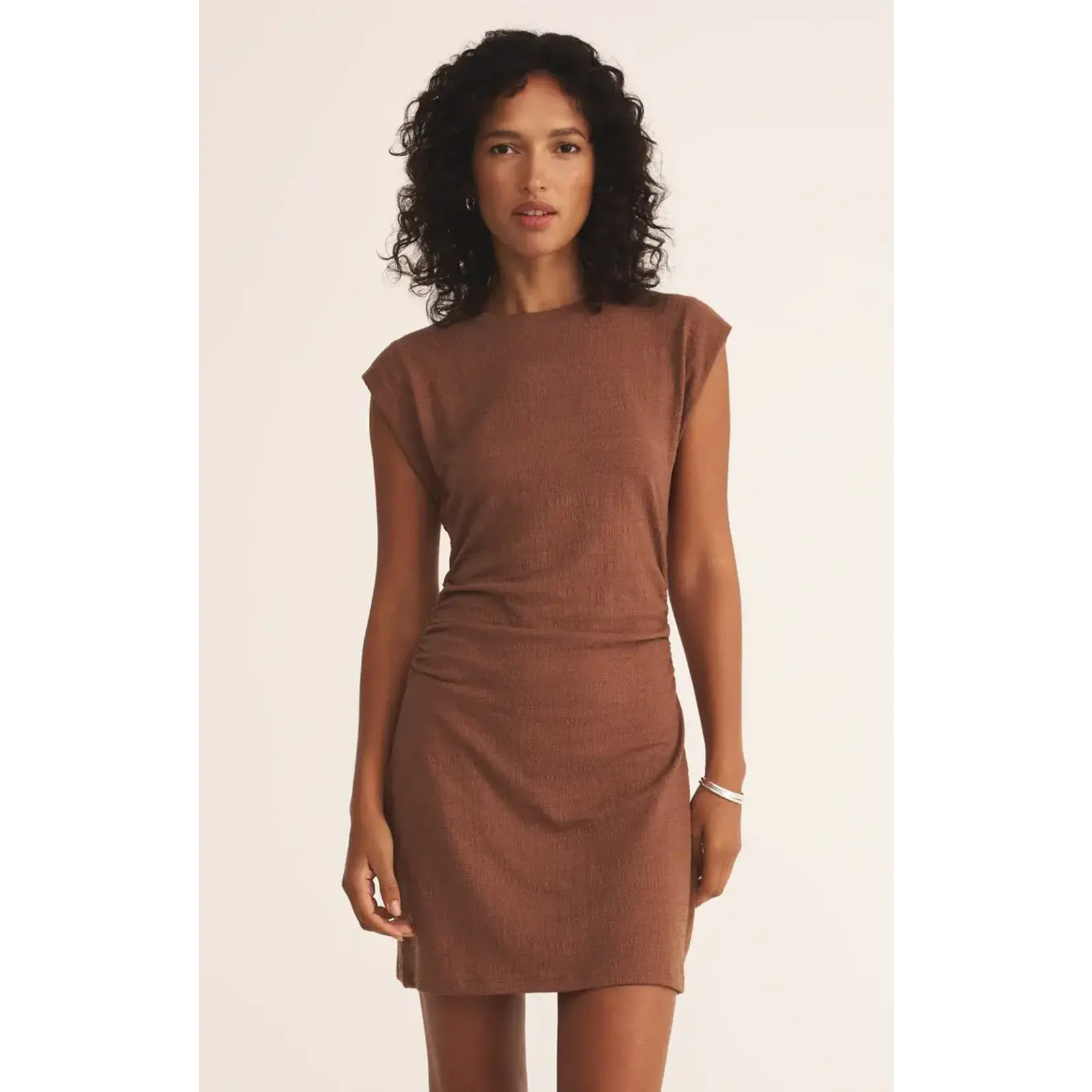 Z Supply Camino Textured Mini Dress