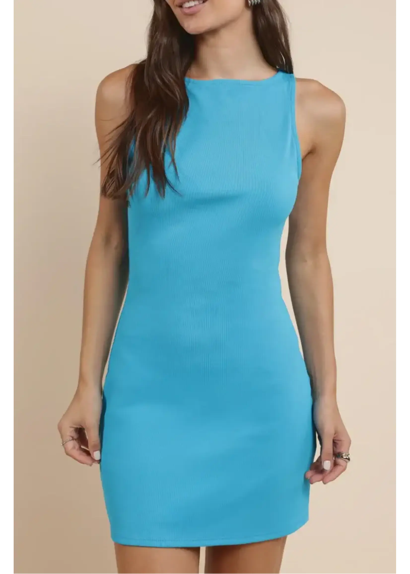 Sadie Sage SS Madison Ribbed Mini Dress