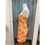 Sadie Sage Sunset Tube Mini Dress