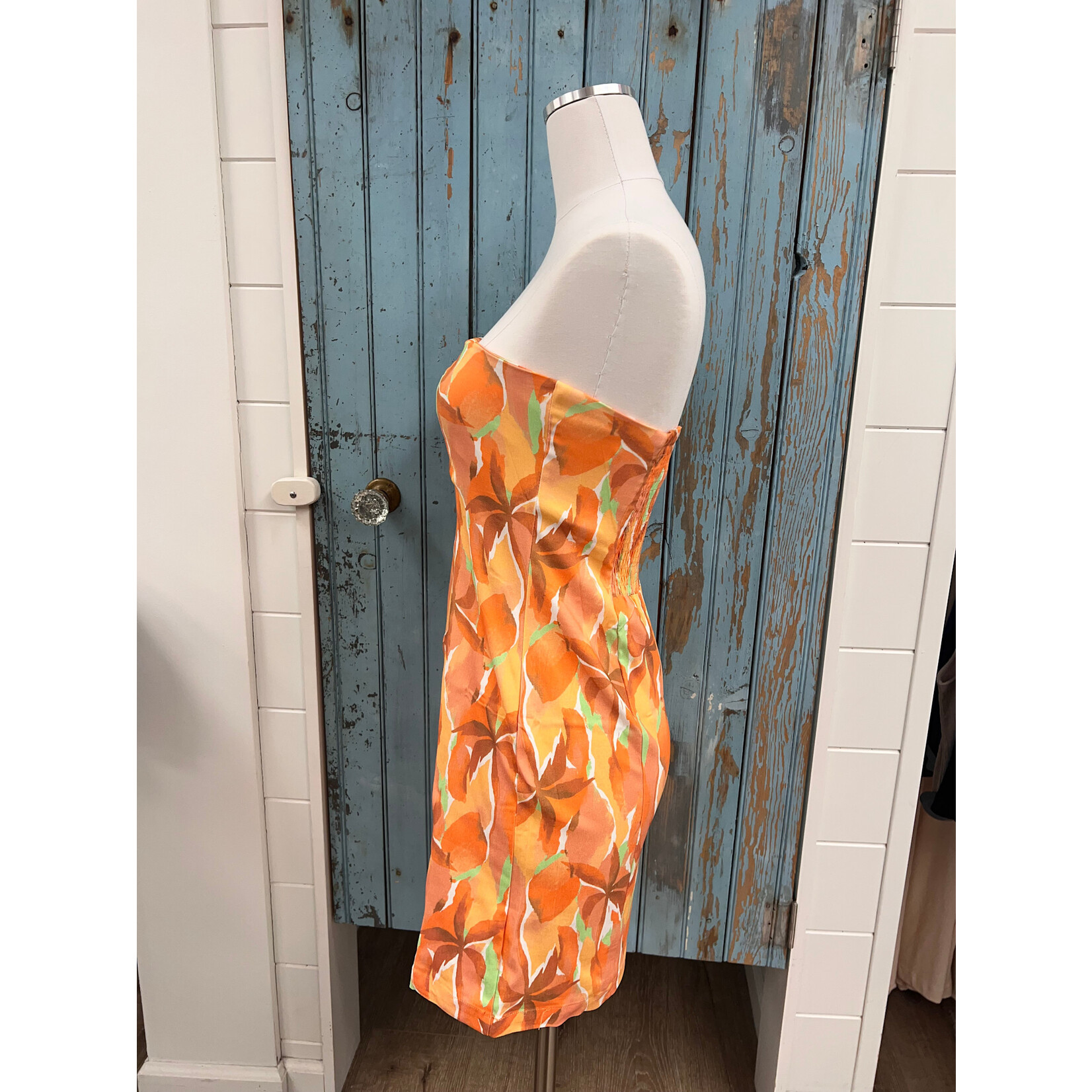 Sadie Sage SS Sunset Tube Mini Dress