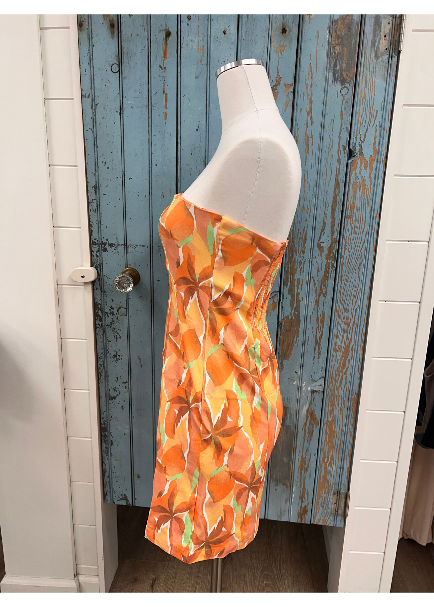 Sadie Sage SS Sunset Tube Mini Dress