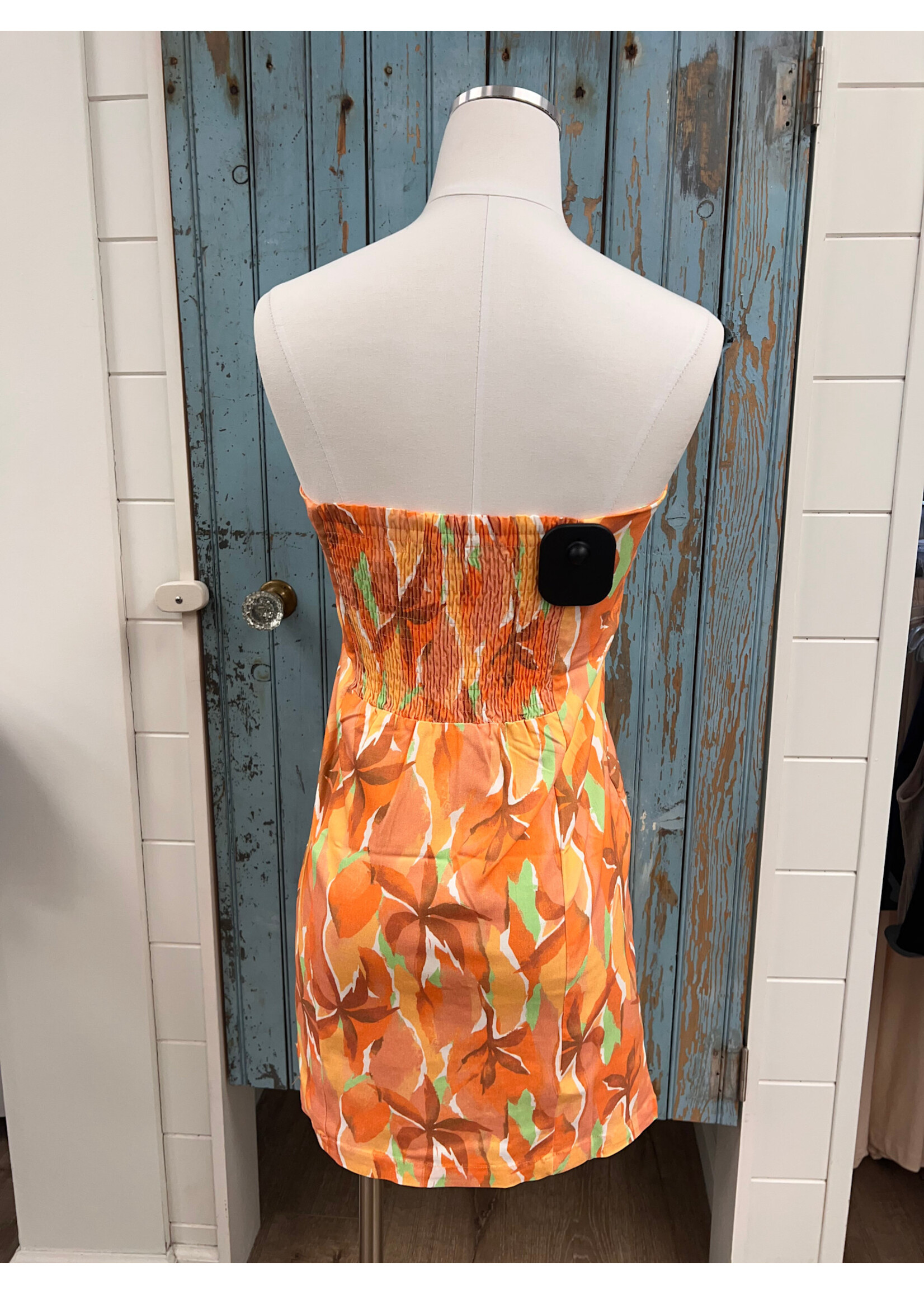 Sadie Sage SS Sunset Tube Mini Dress