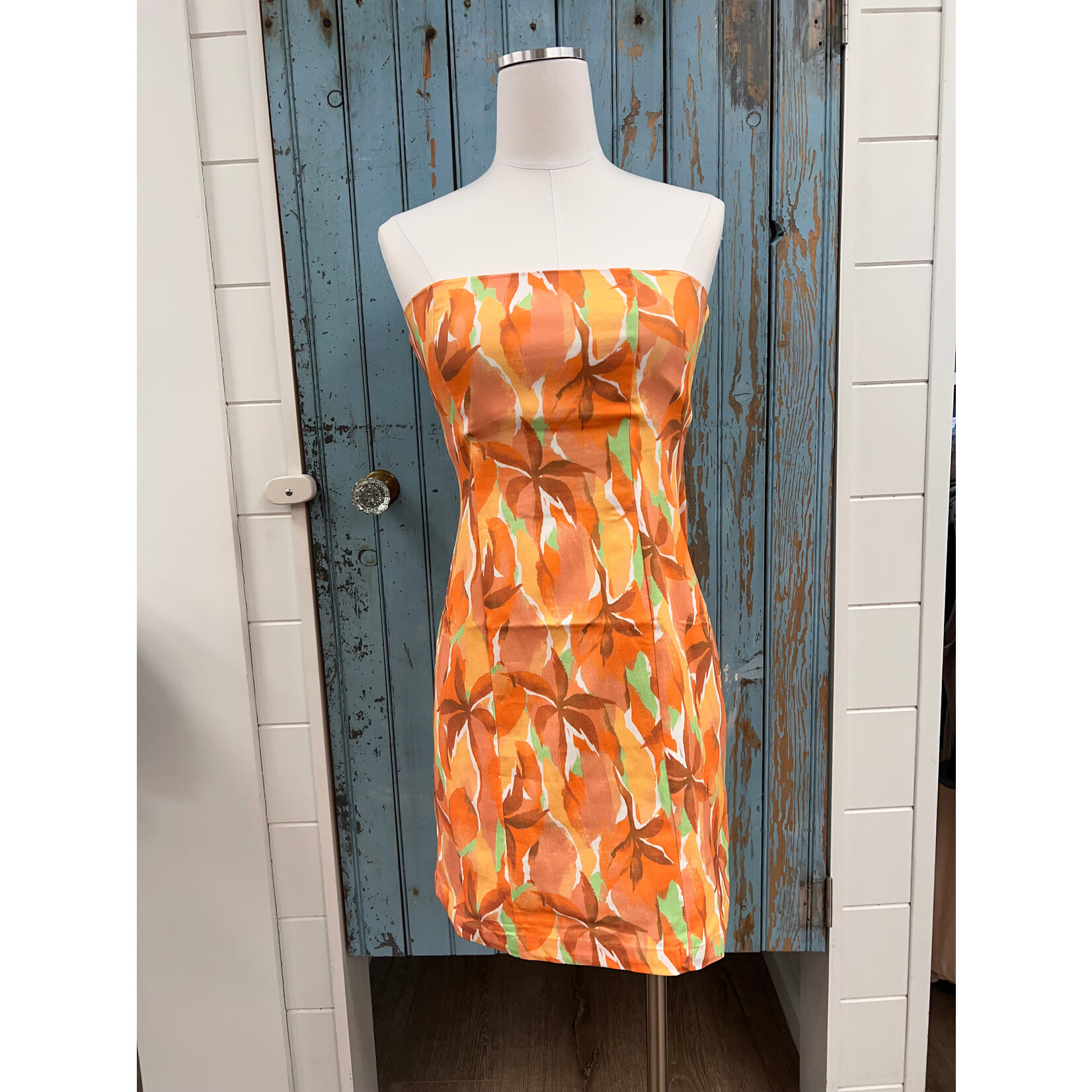 Sadie Sage SS Sunset Tube Mini Dress