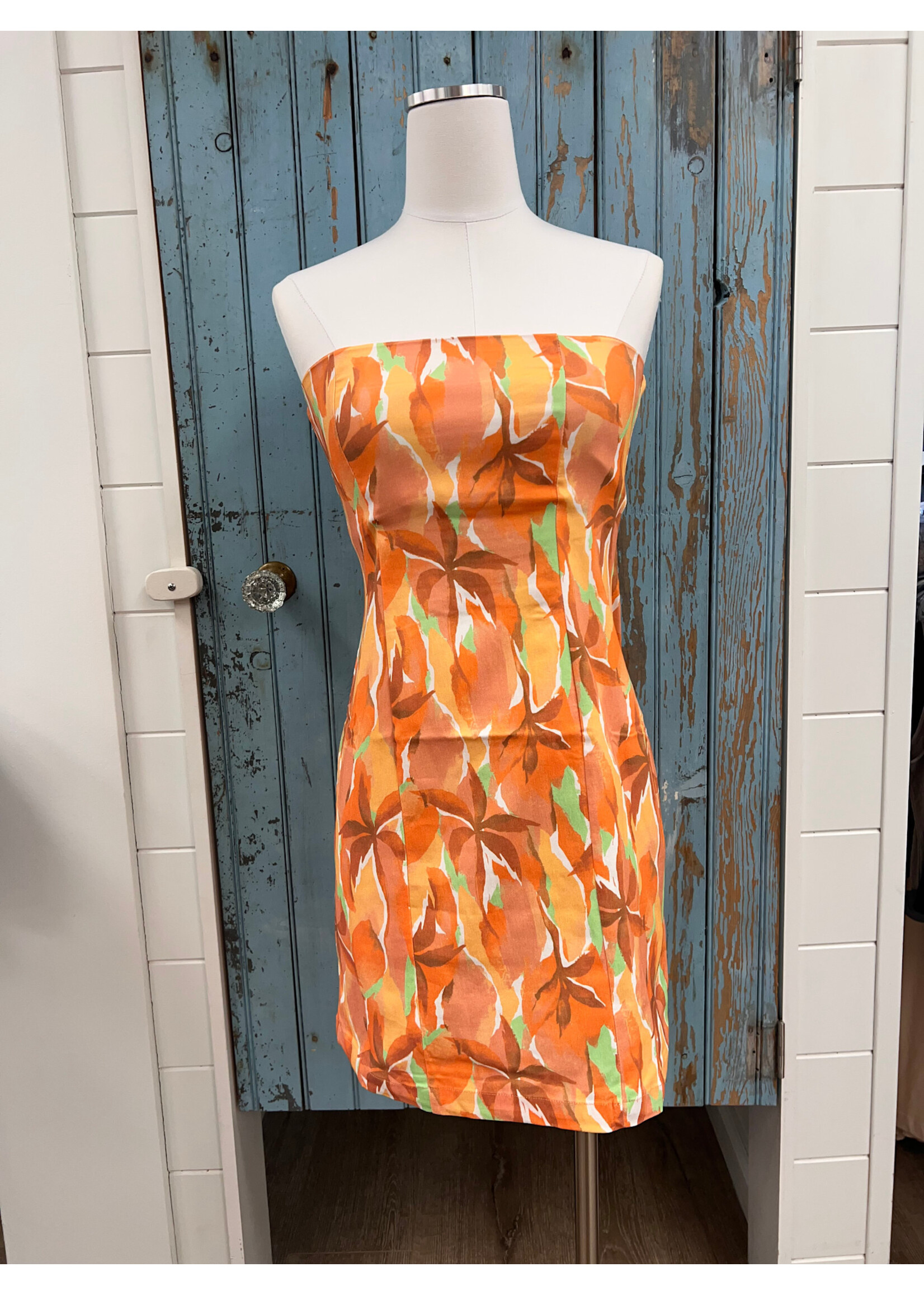 Sadie Sage SS Sunset Tube Mini Dress