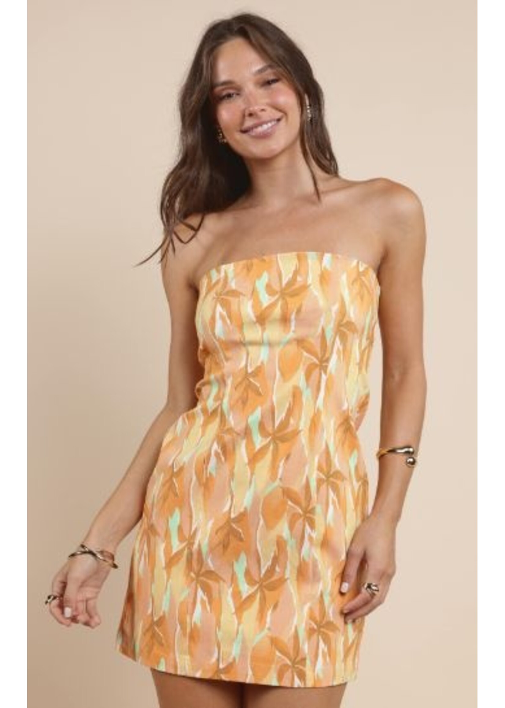 Sadie Sage SS Sunset Tube Mini Dress