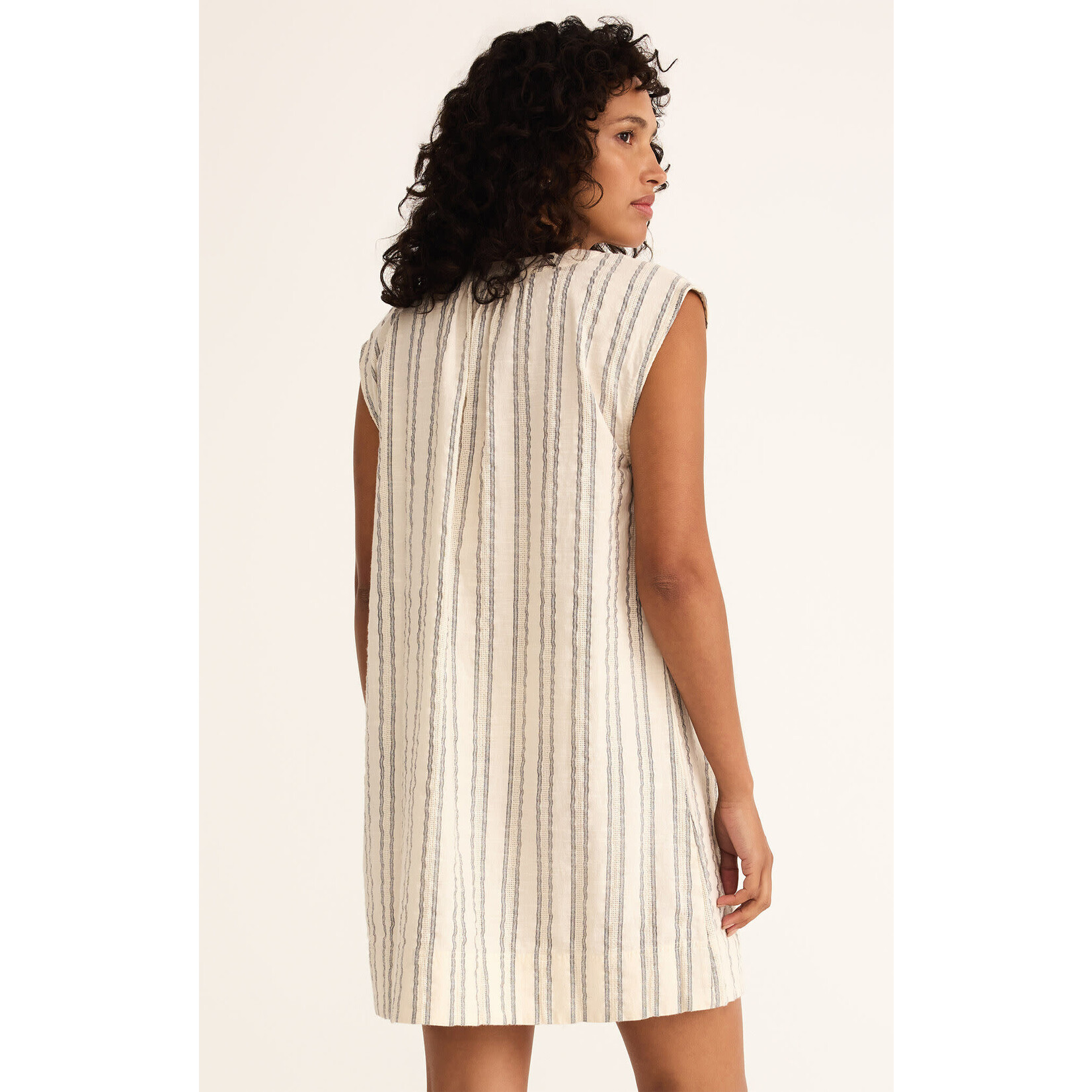 Z Supply ZS Minna Stripe Mini Dress