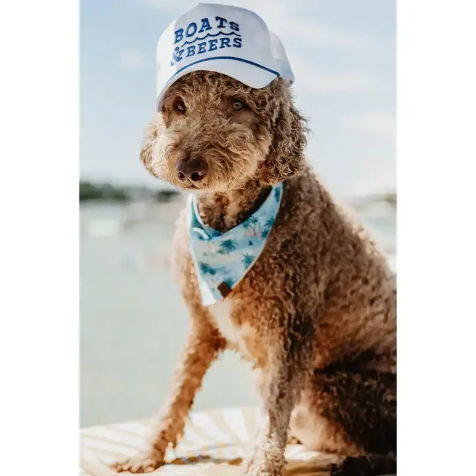 Katy Did KD Boats & Beers Hat