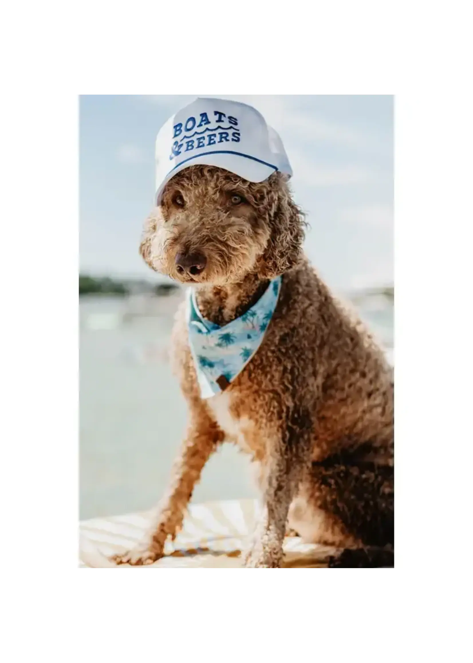 Katy Did KD Boats & Beers Hat