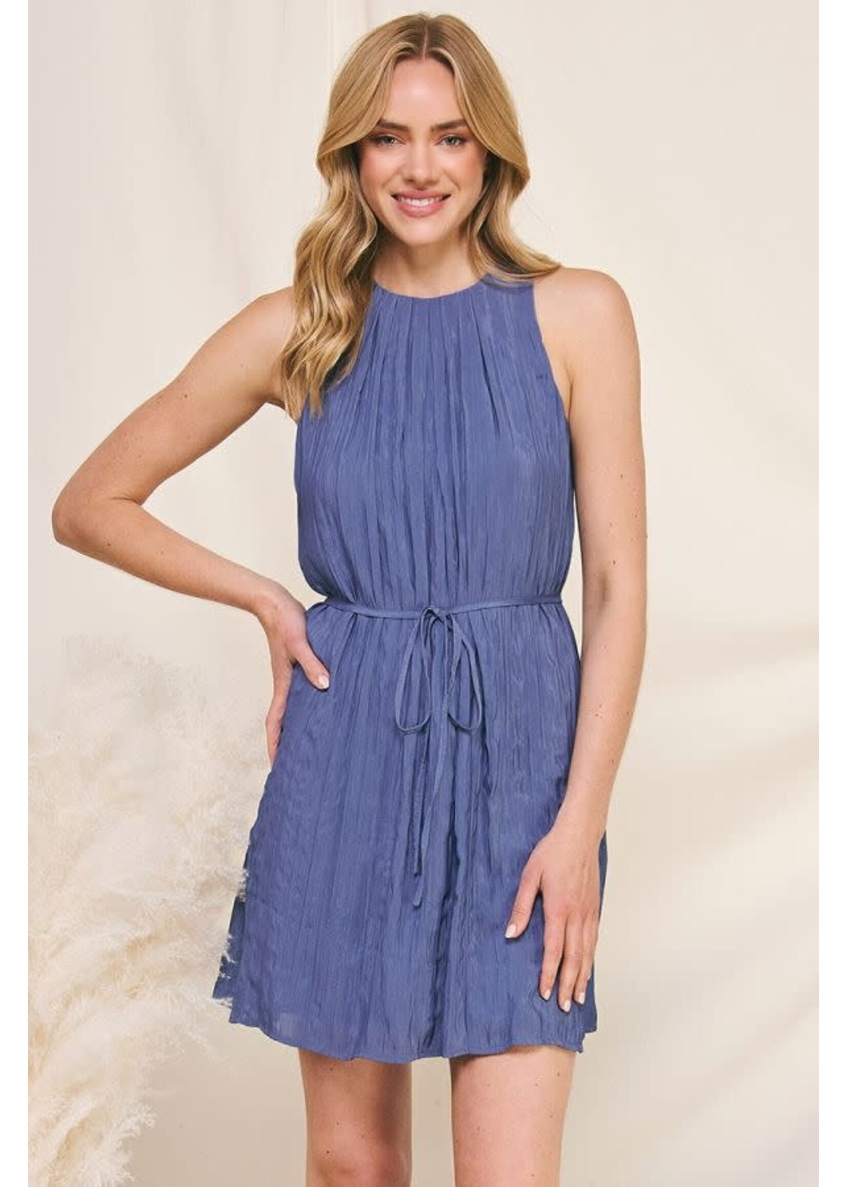 Allie Rose AR Pleated Shift Dress
