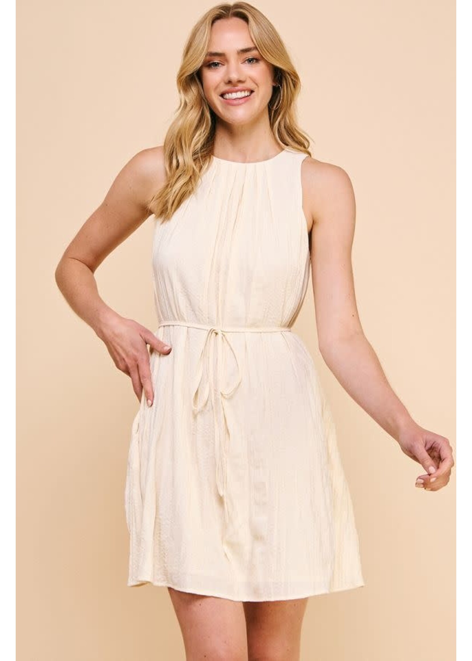 Allie Rose AR Pleated Shift Dress