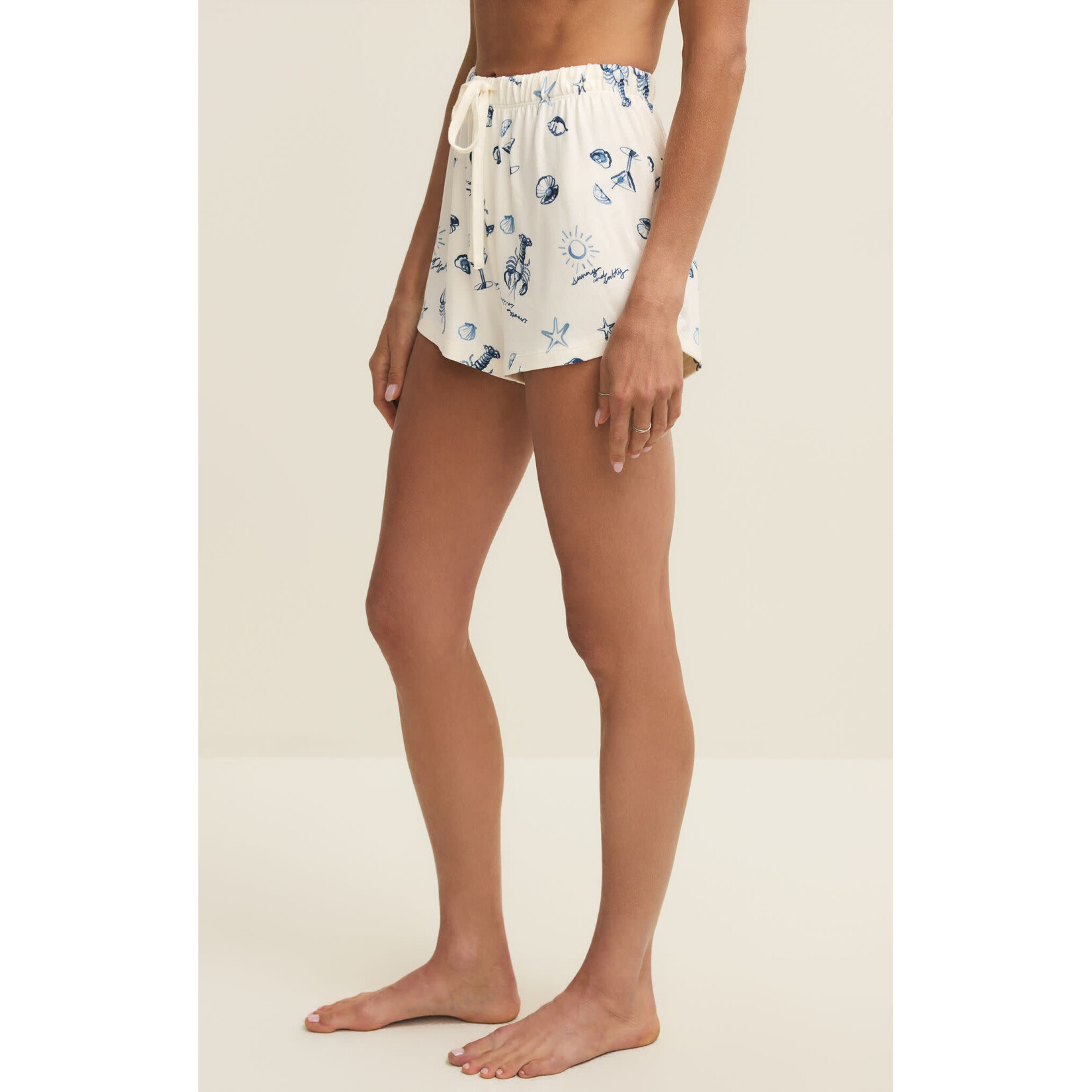 Z Supply Lost at Sea  Short