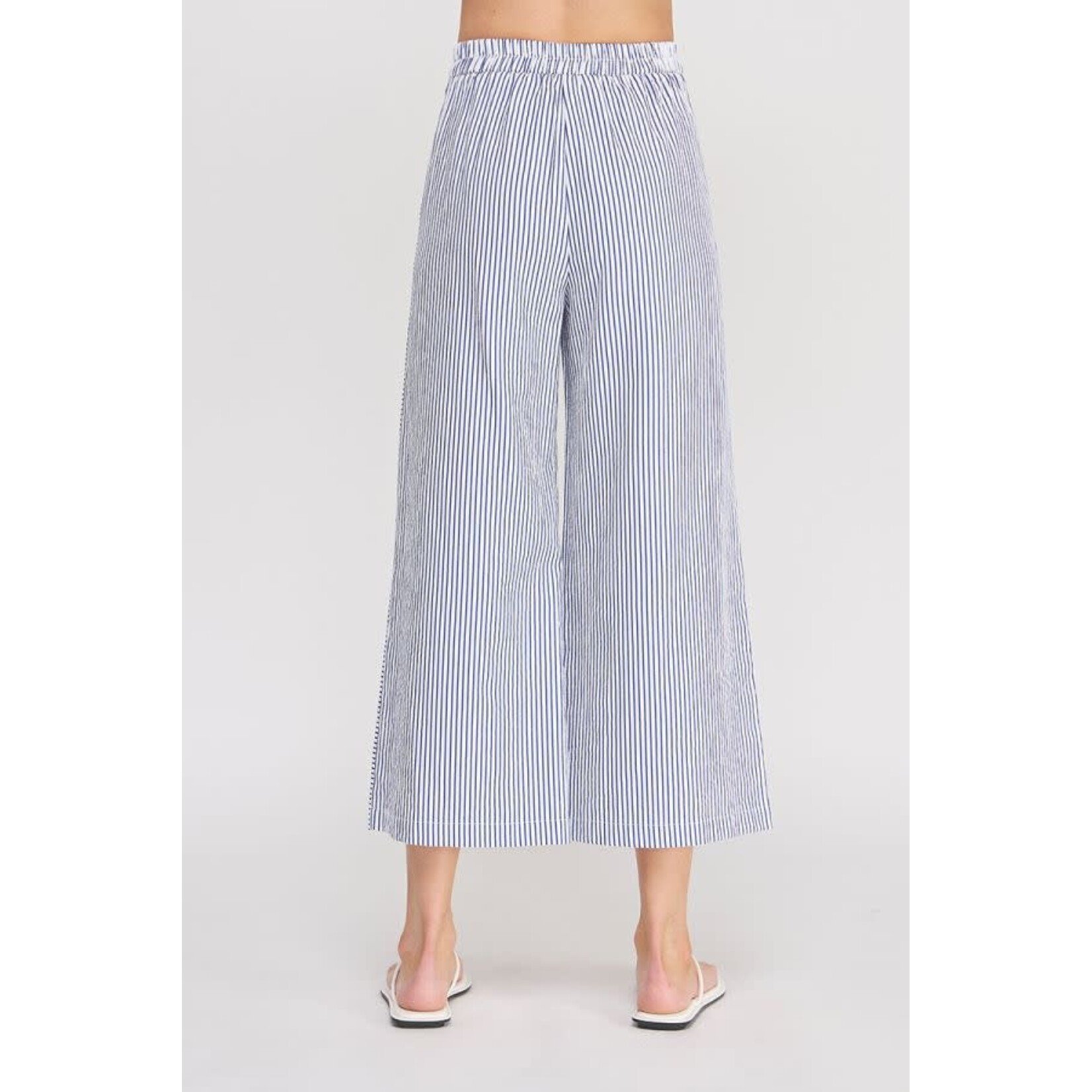Allie Rose AR Navy Searsucker Striped Pant
