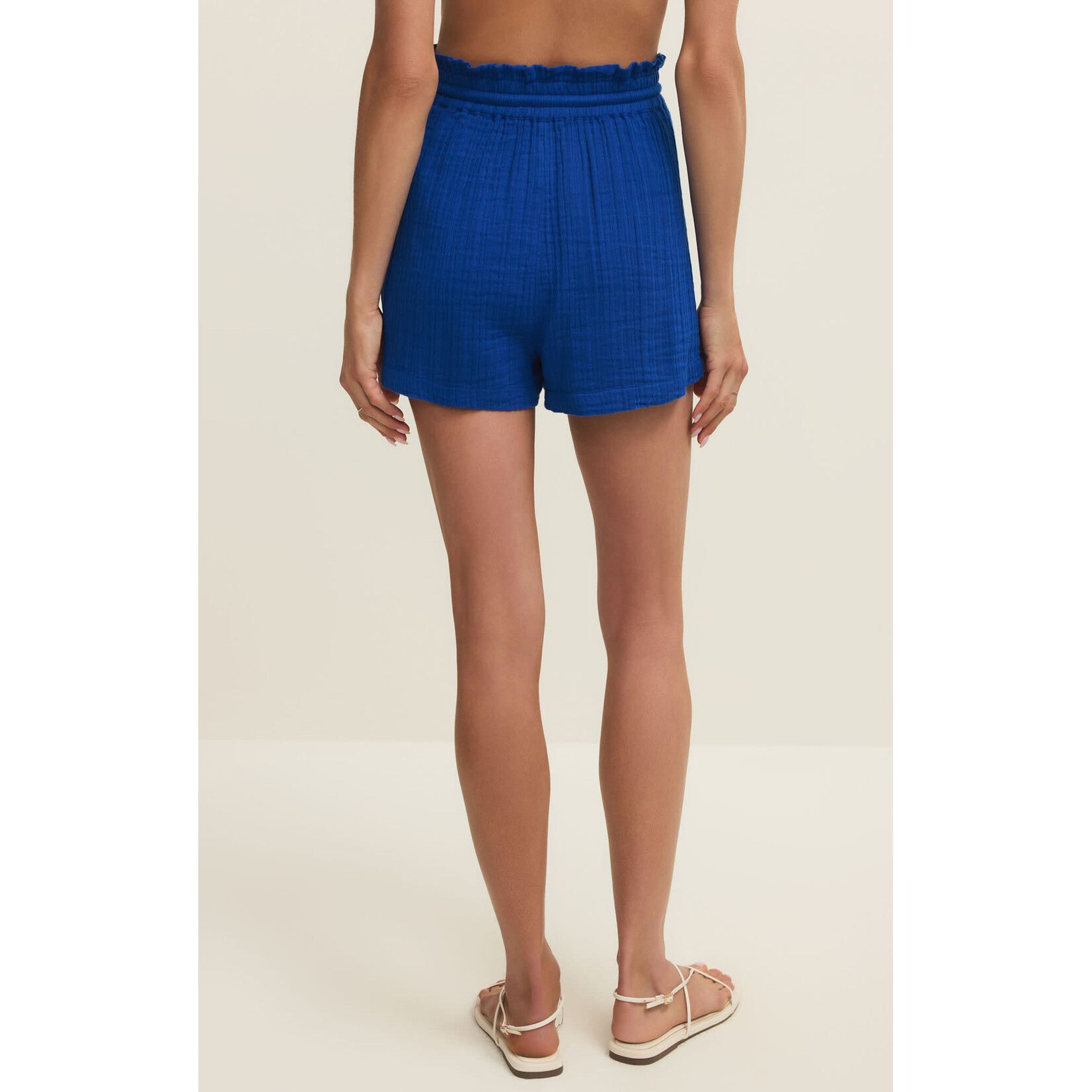 Z Supply ZS Emory Short