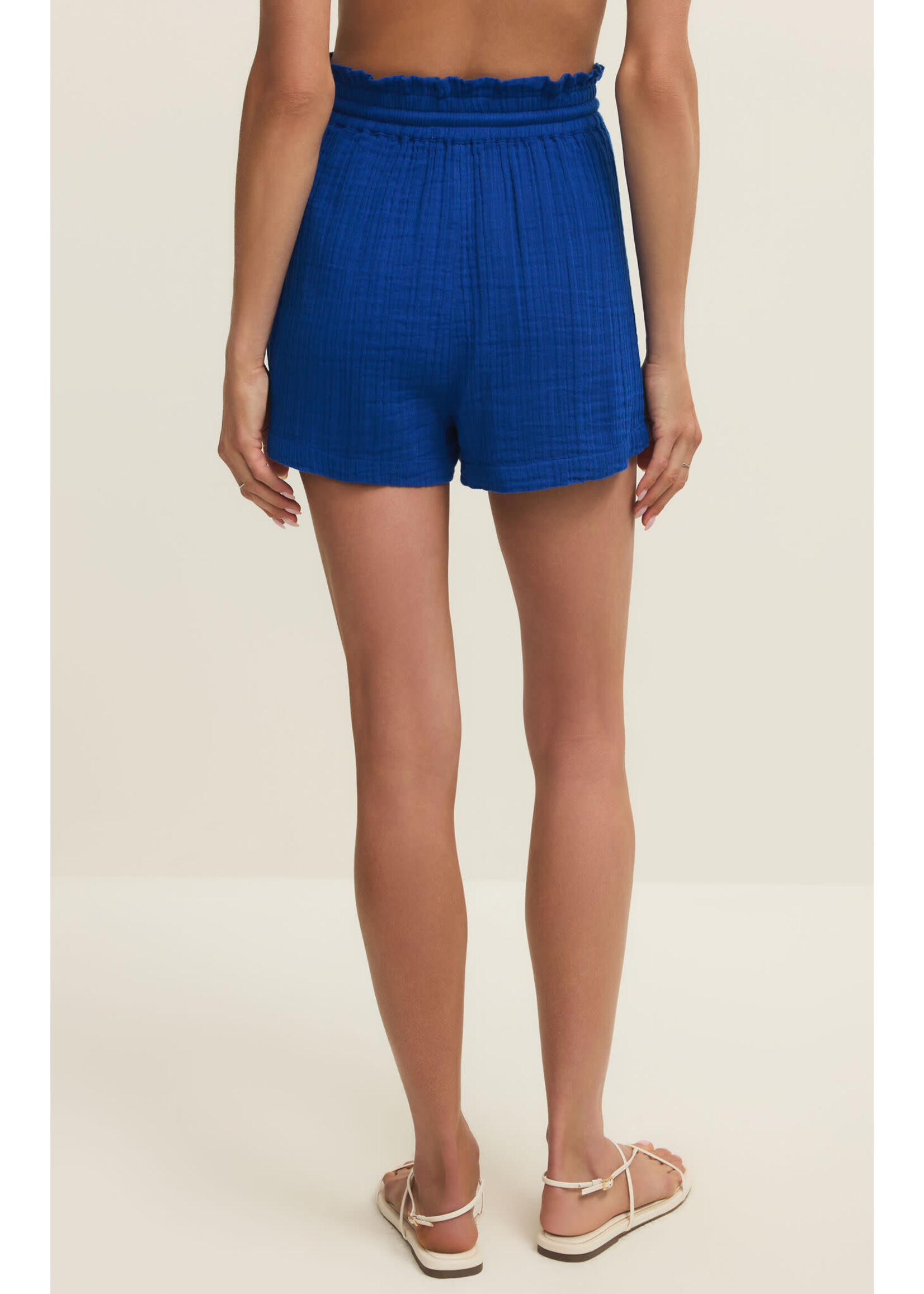 Z Supply Emory Short