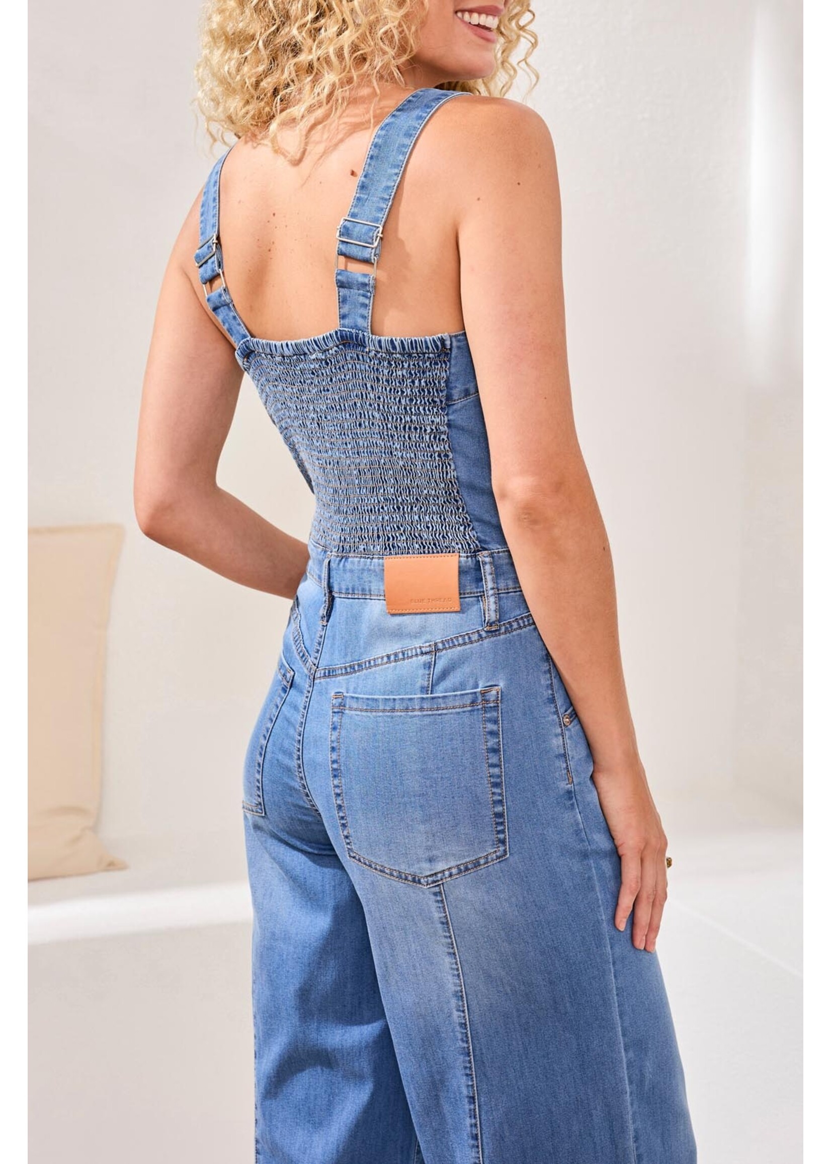 Tribal  Denim Jumpsuit