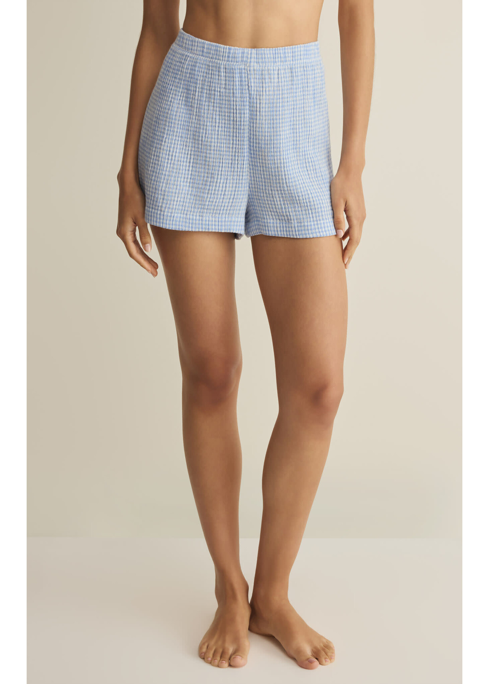 Z Supply ZS Classic Gingham Short