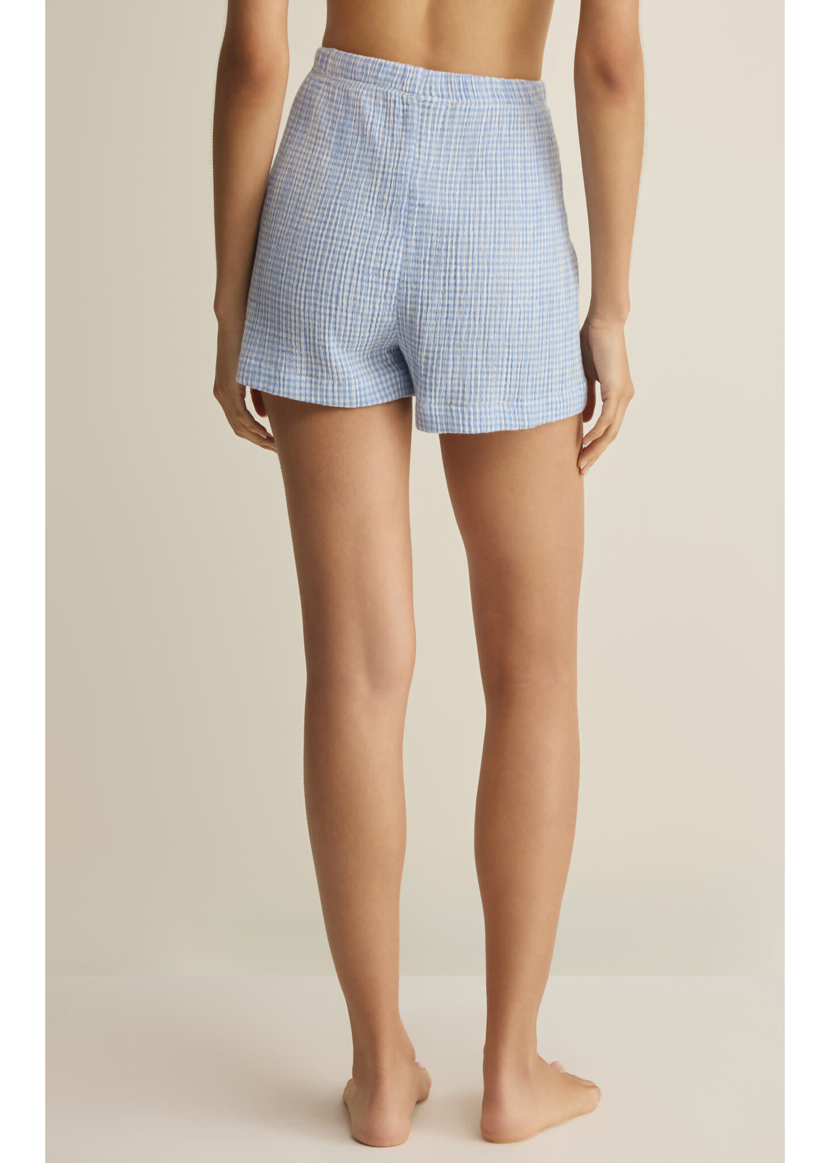 Z Supply ZS Classic Gingham Short