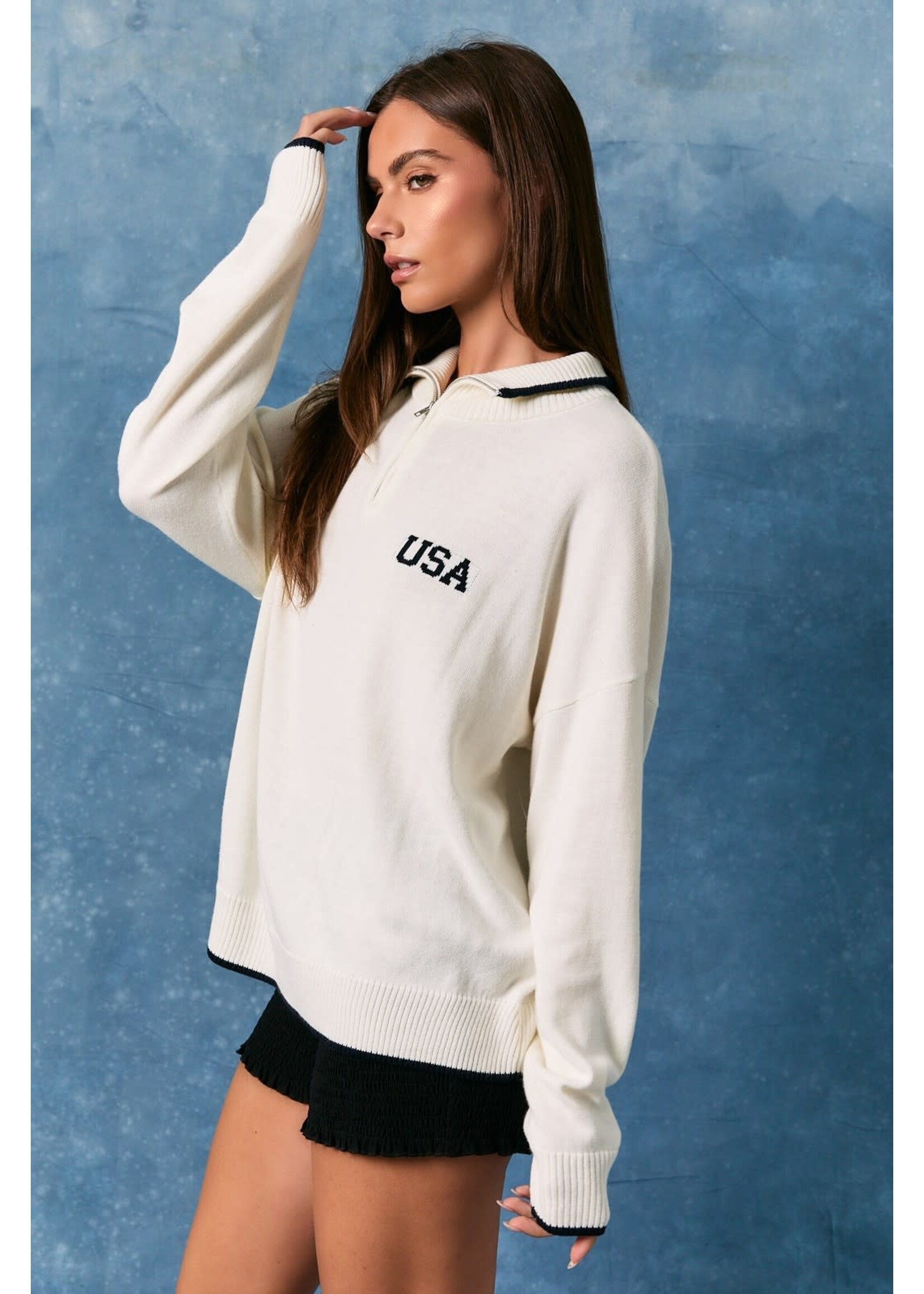 Le Lis LL Flag Half Zip Polo Sweater