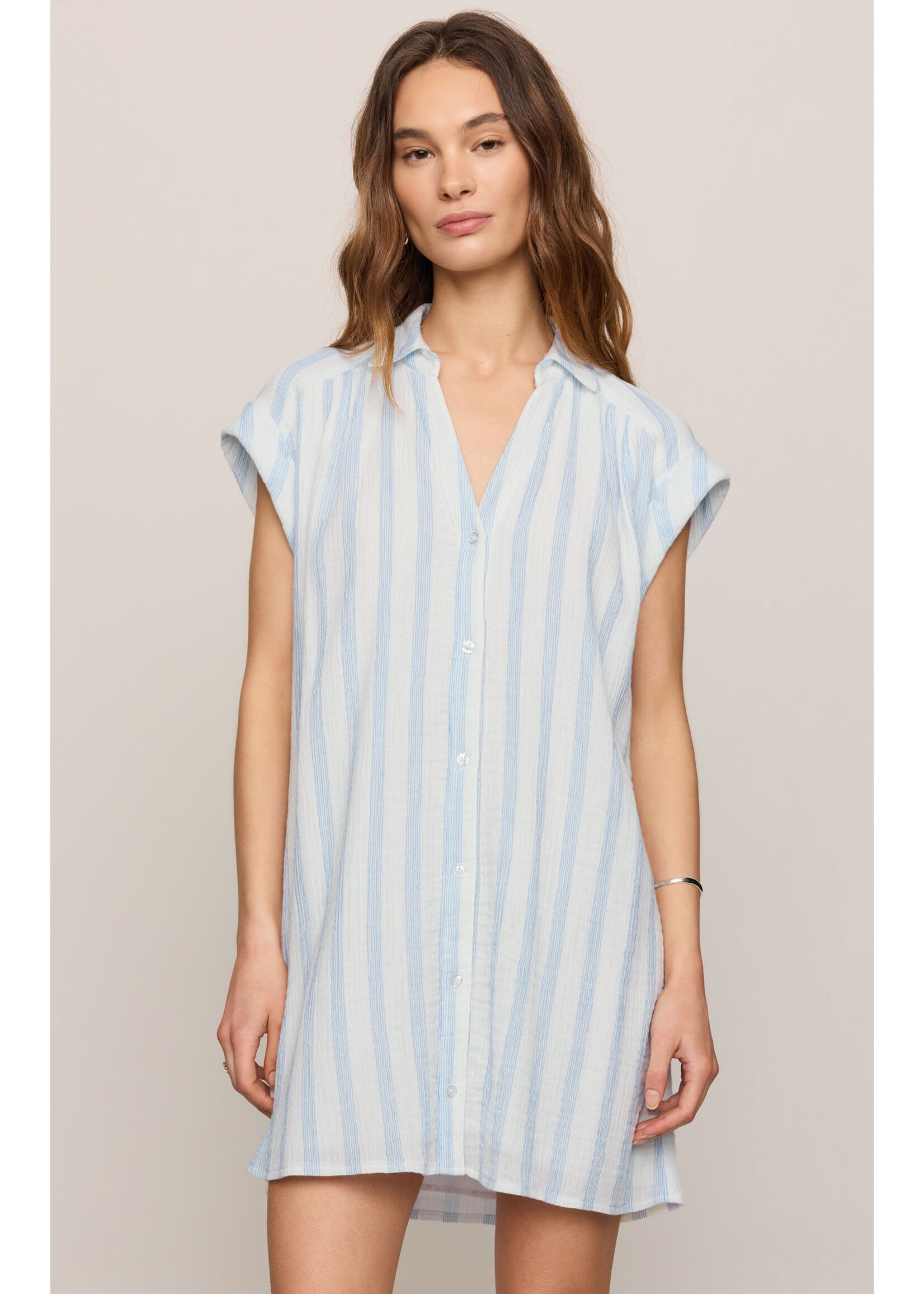 Z Supply ZS Shellbound Striped Dress