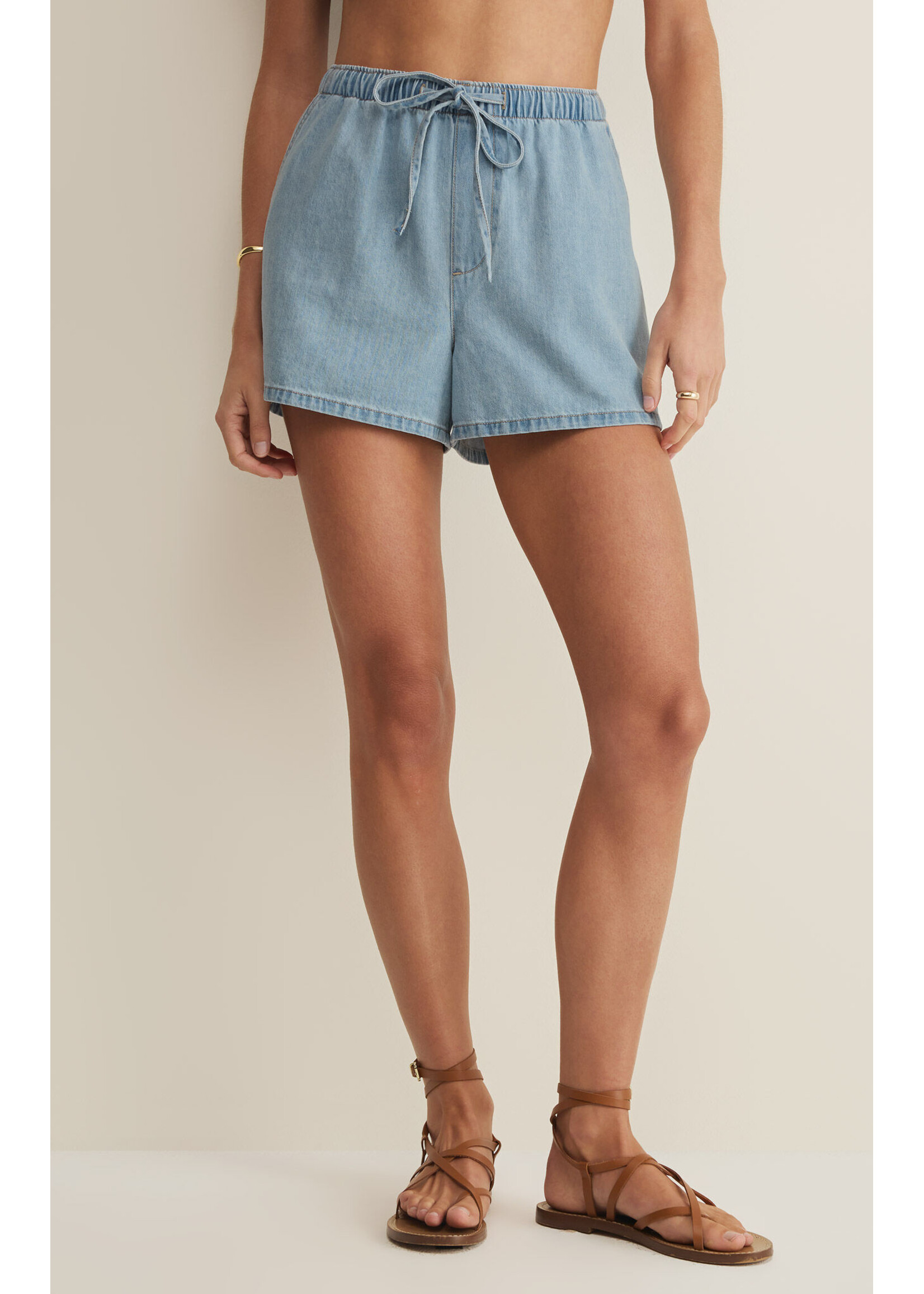 Z Supply ZS Seaway Short