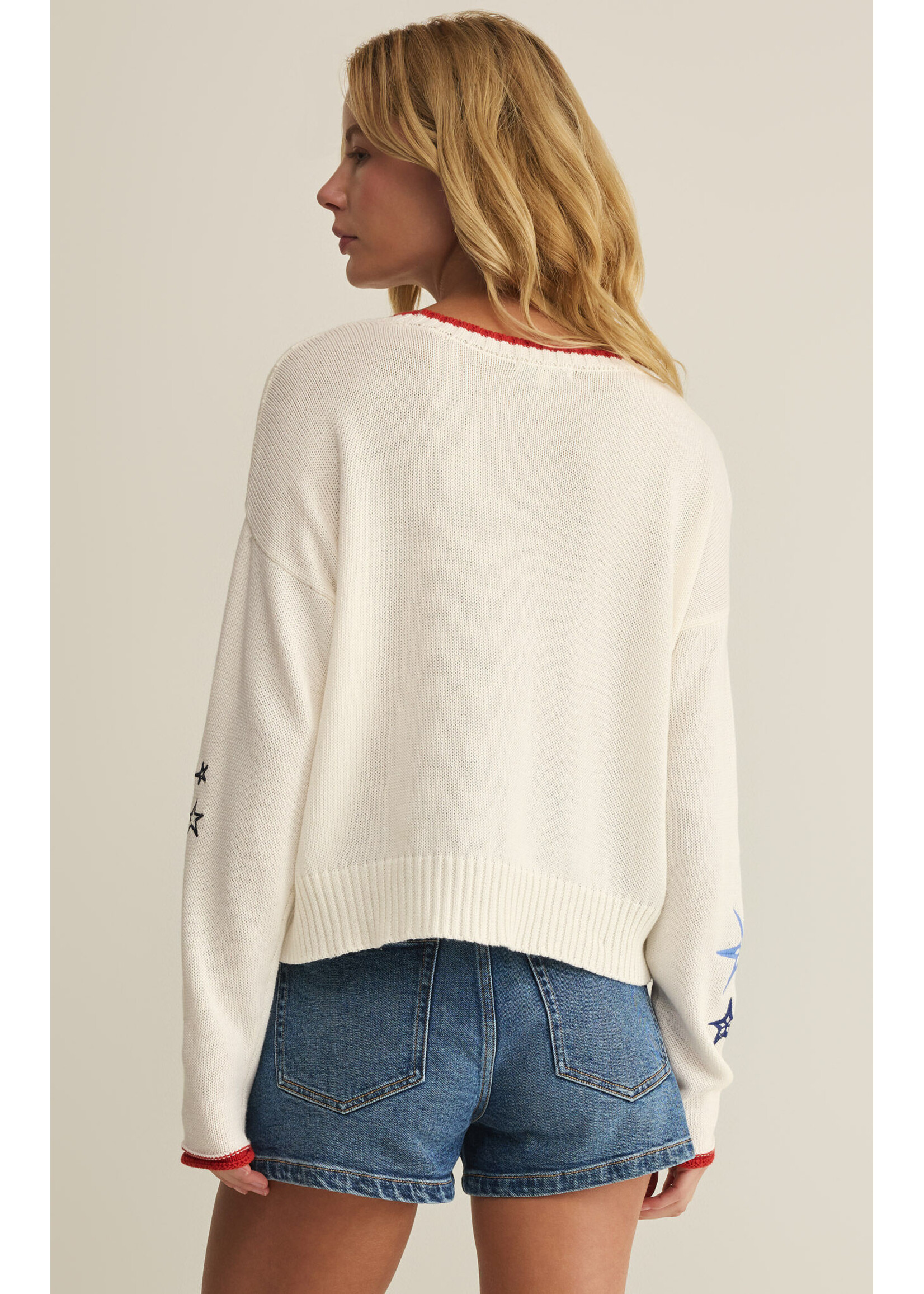 Z Supply ZS Seas The Day Sweater