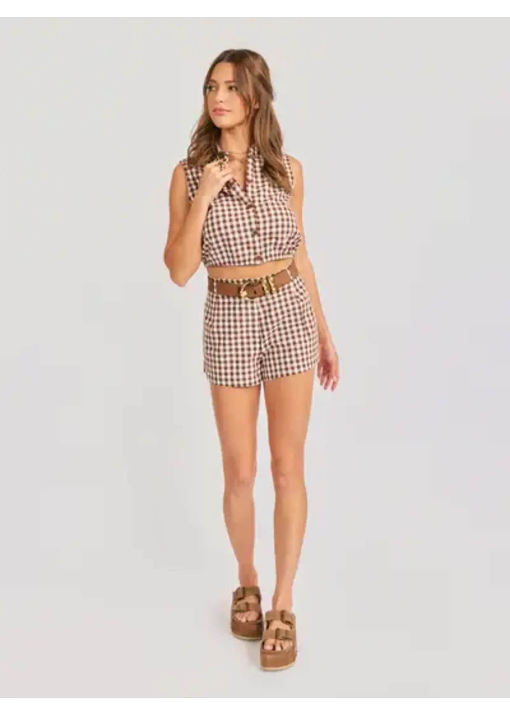 Sadie Sage SS Mustang Gingham Top