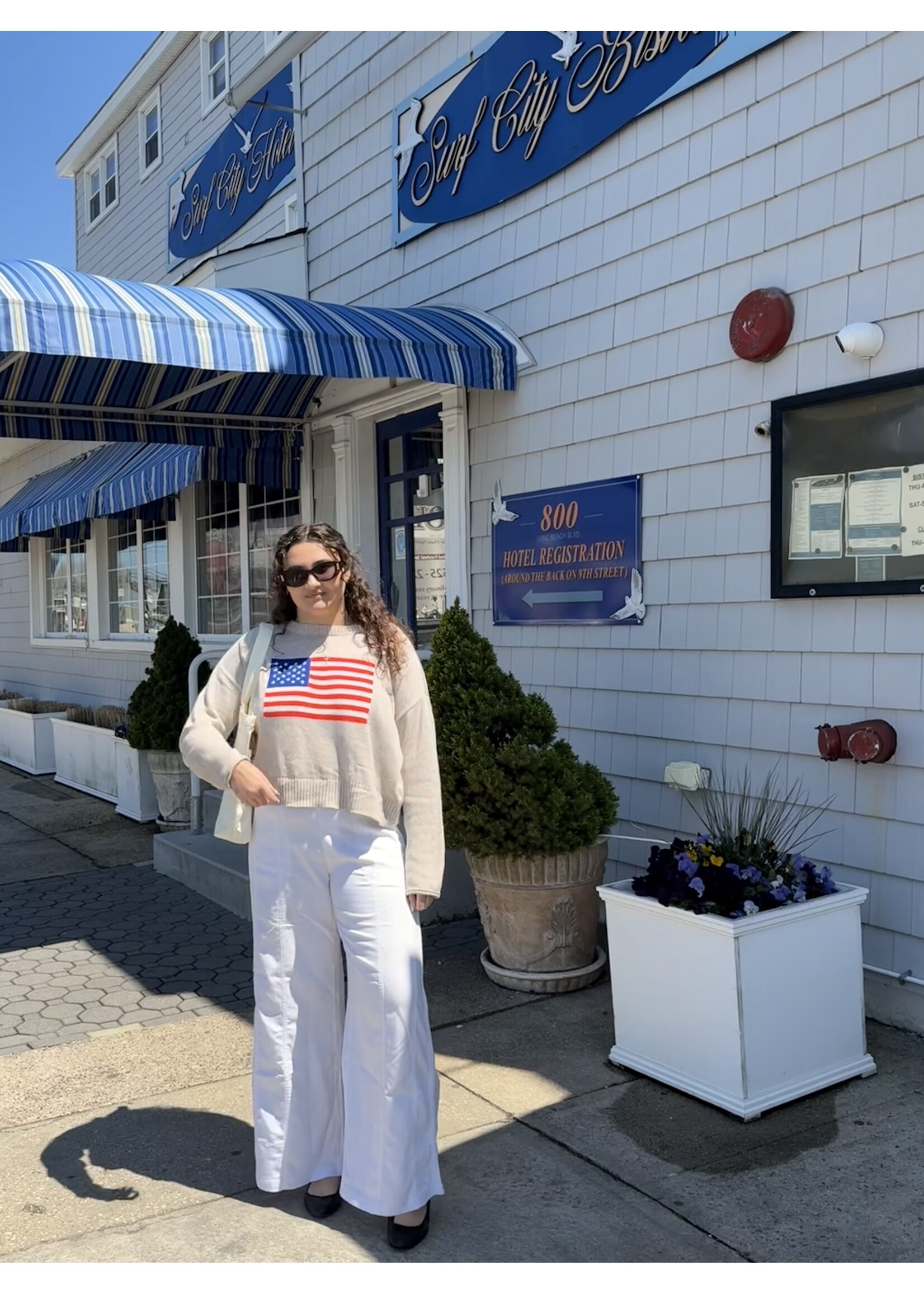 Z Supply ZS Sienna Patriot Sweater