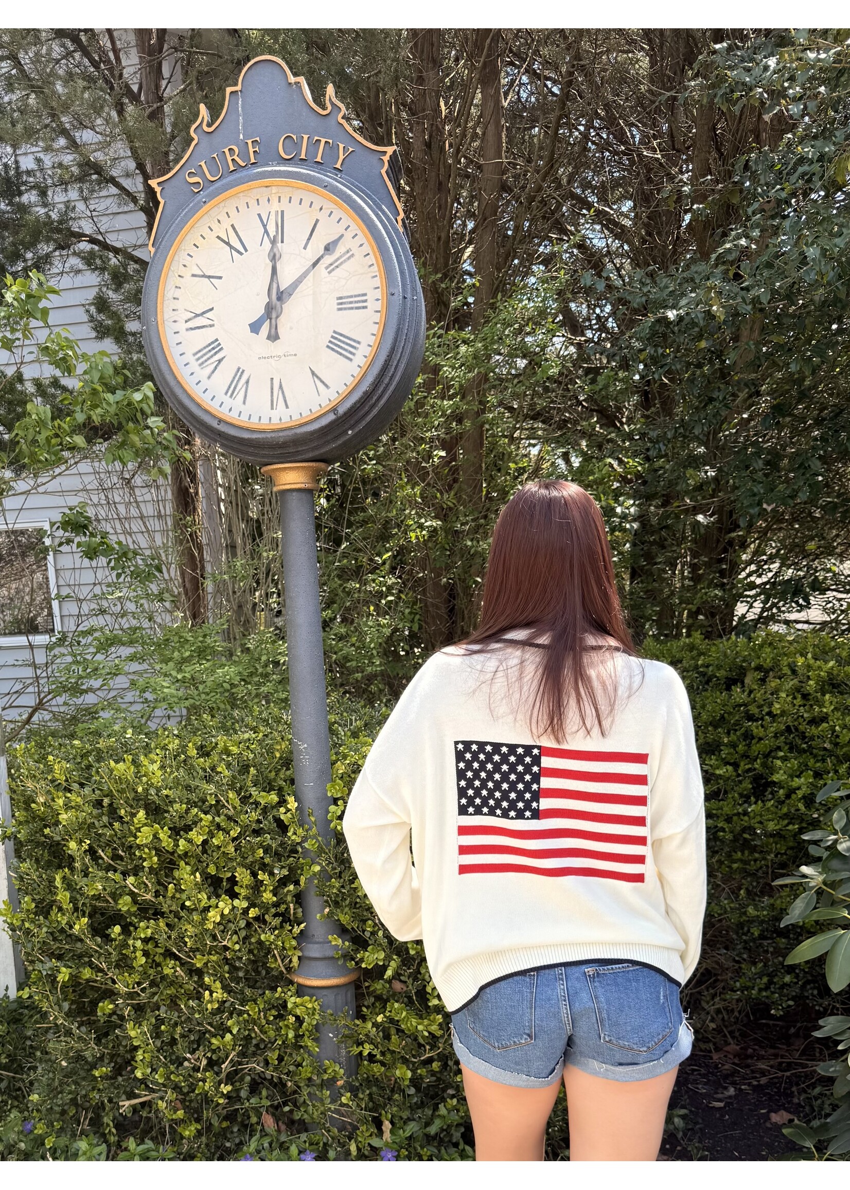 Le Lis LL Flag Half Zip Polo Sweater