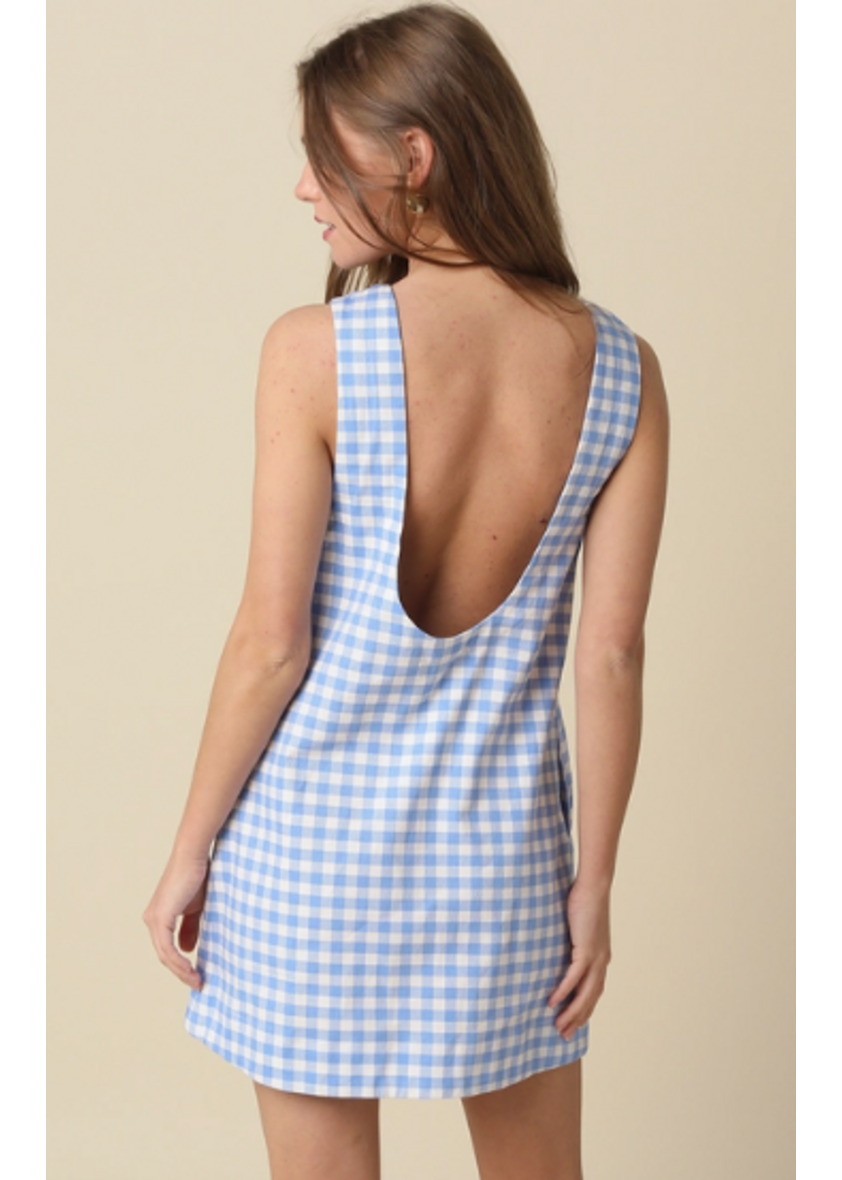 olivaceous O Blue Ginham Dress