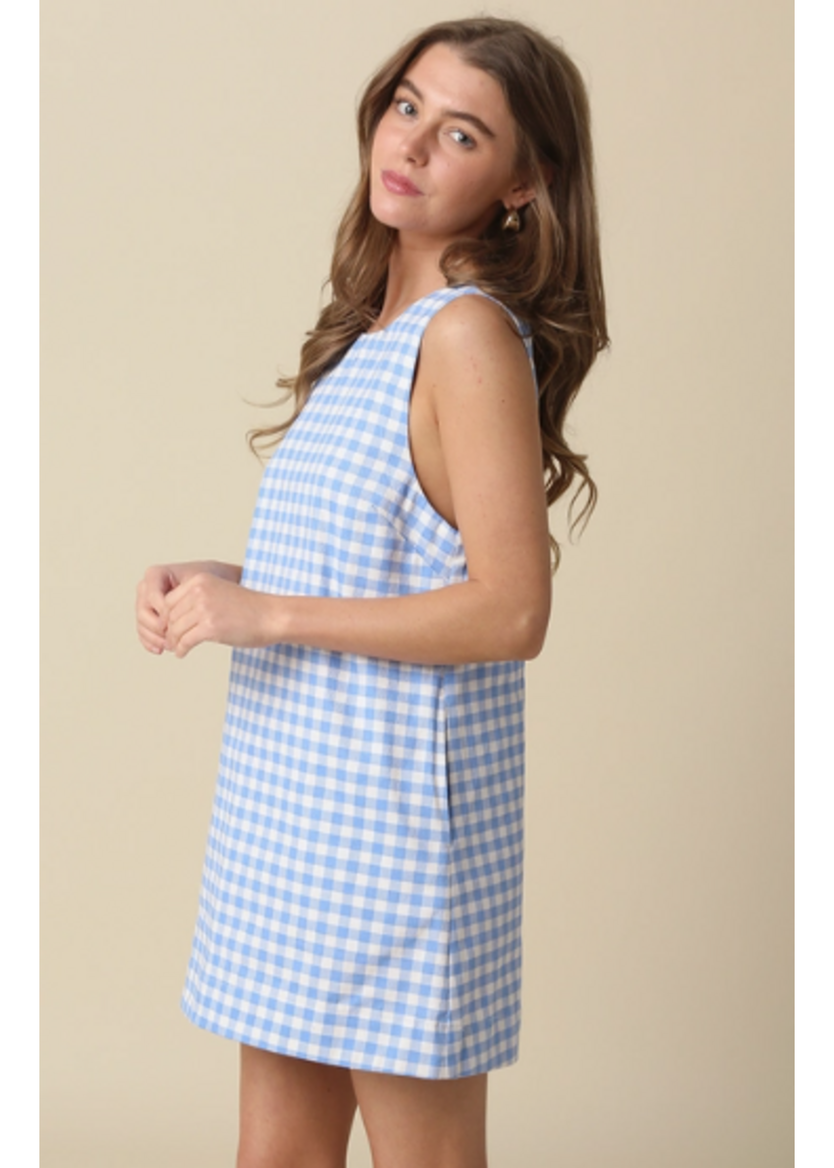 olivaceous O Blue Ginham Dress
