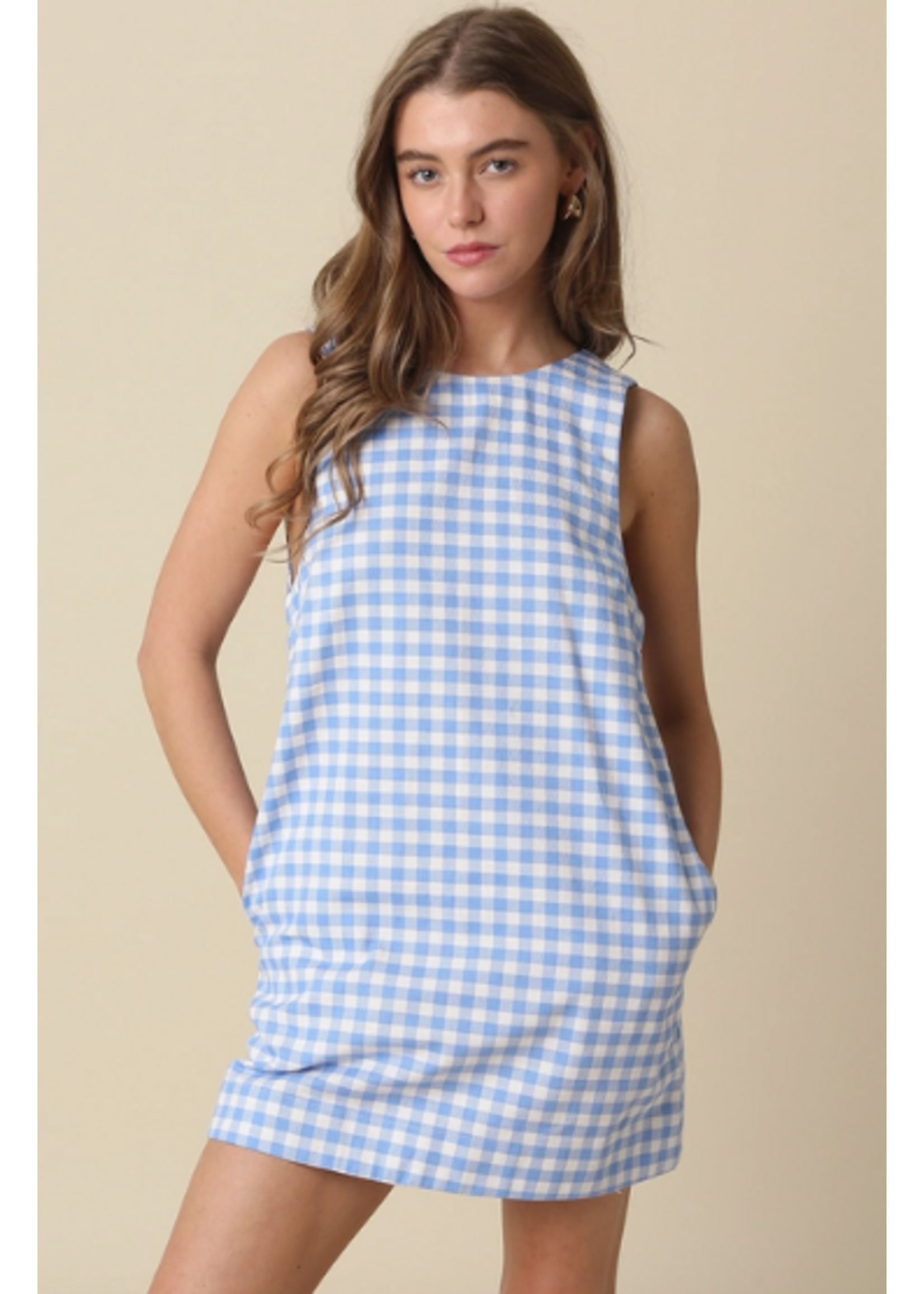 olivaceous O Blue Ginham Dress