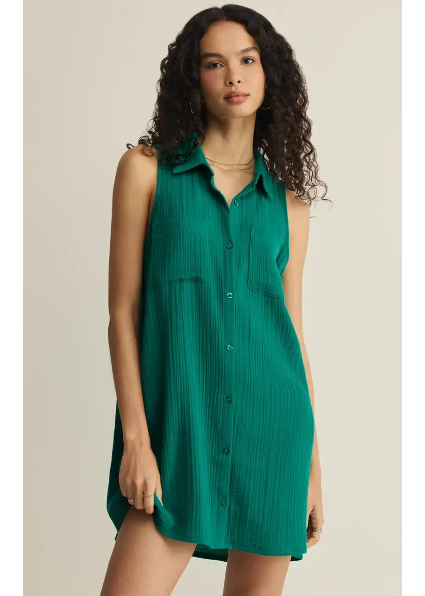 Z Supply ZS New Light Mini Dress
