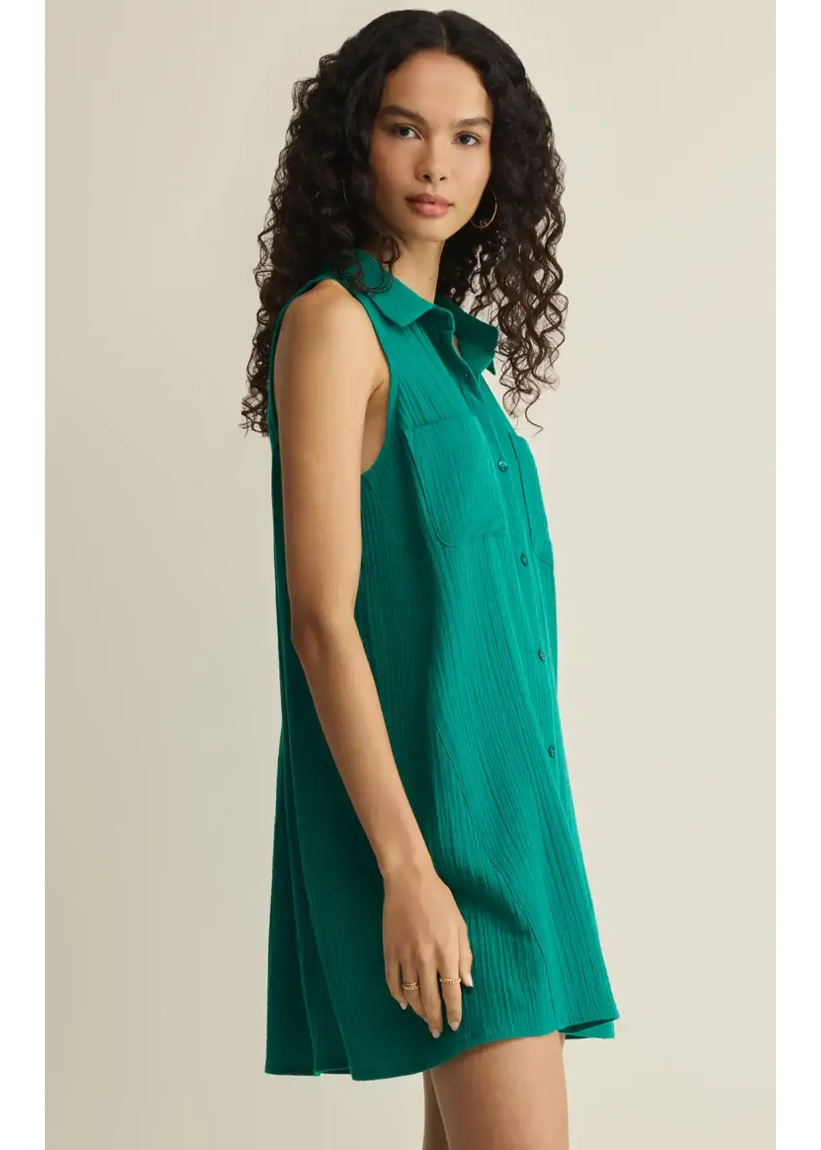 Z Supply ZS New Light Mini Dress