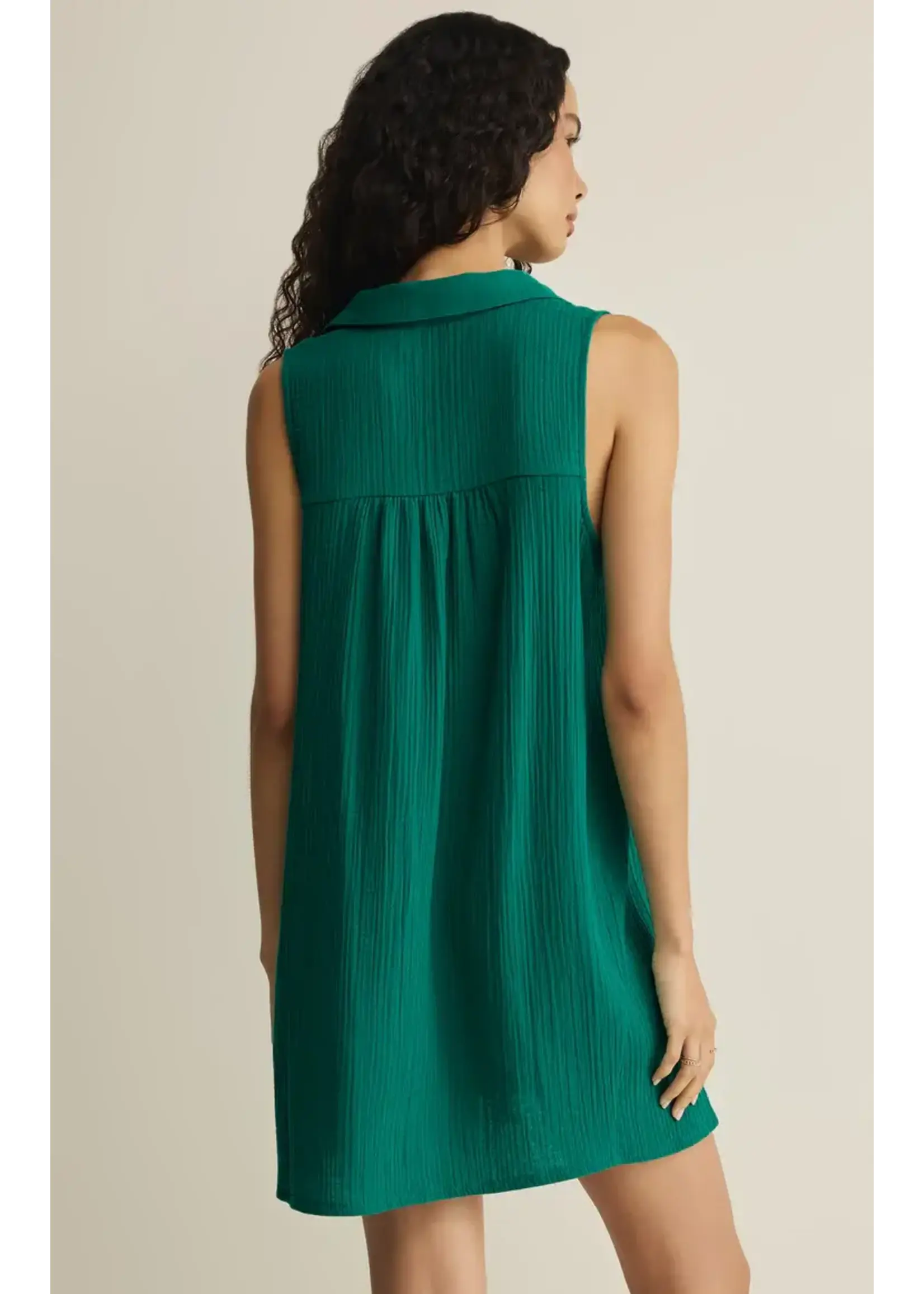 Z Supply ZS New Light Mini Dress