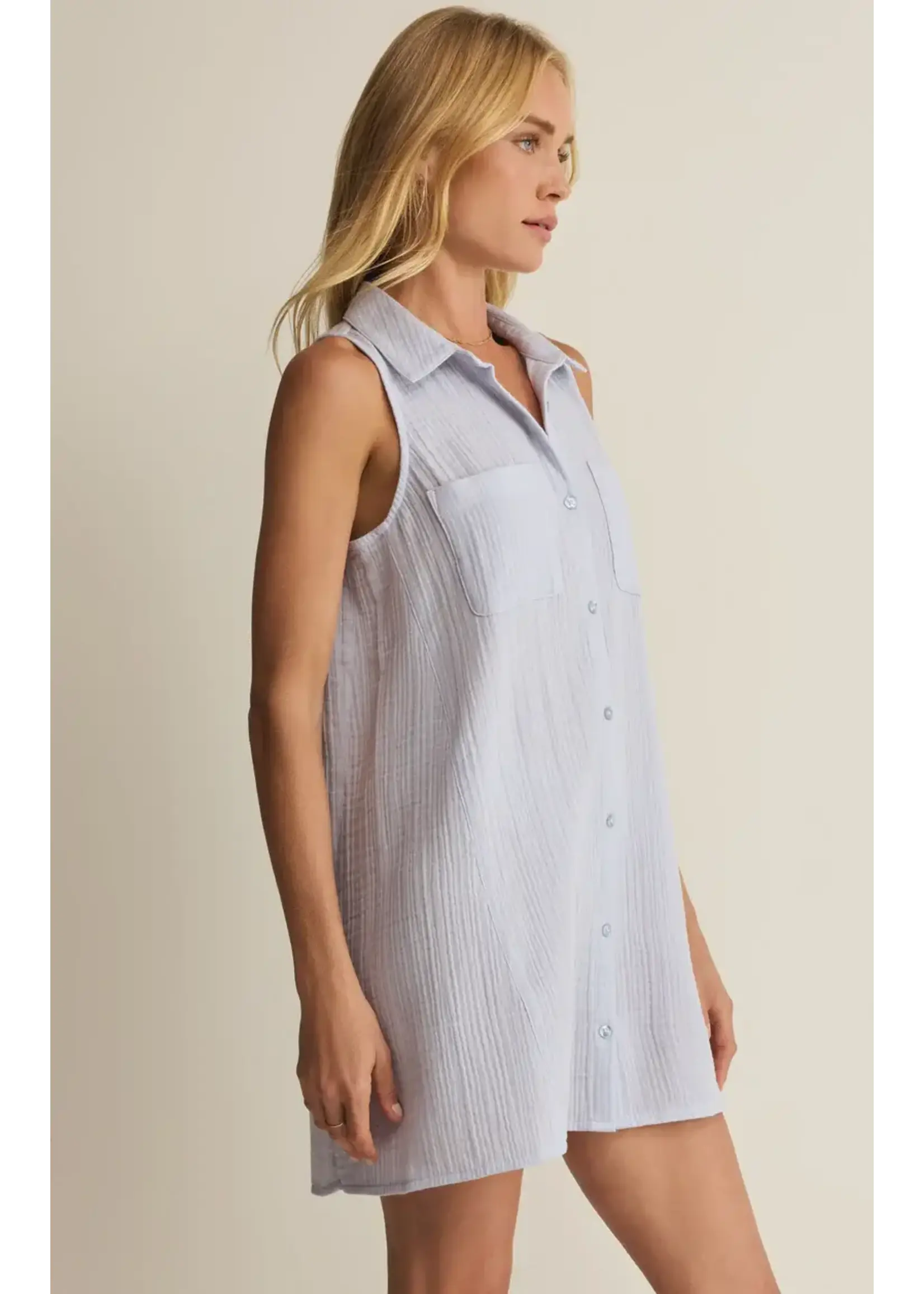 Z Supply ZS New Light Mini Dress