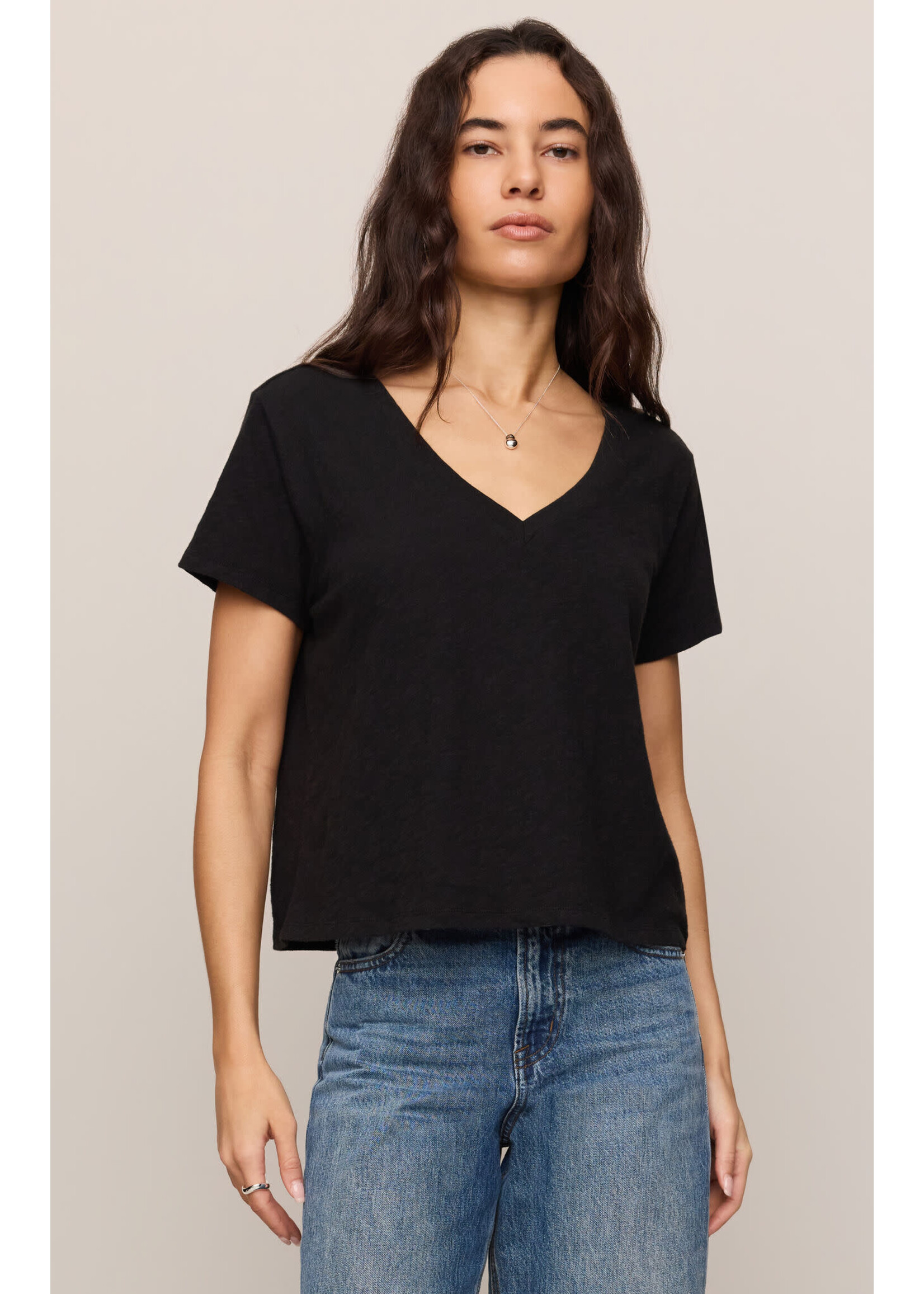 Z Supply ZS Nomad V-Neck Tee