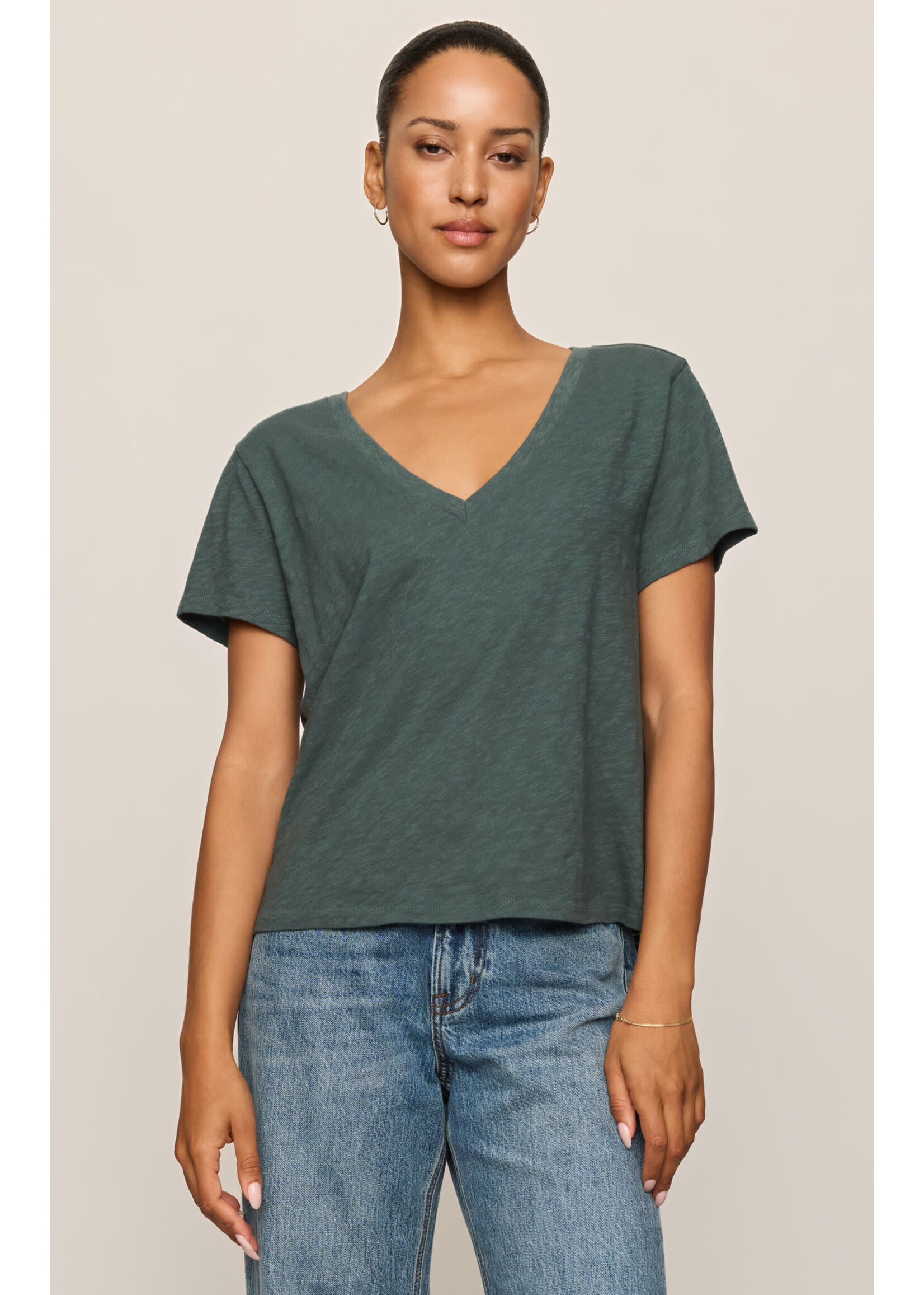 Z Supply ZS Nomad V-Neck Tee