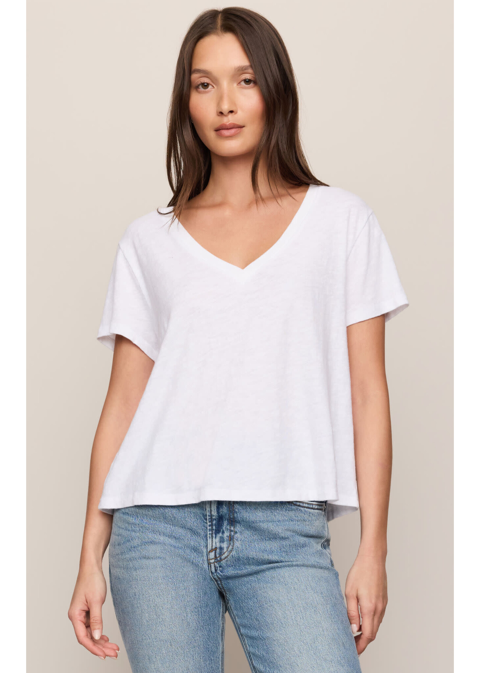Z Supply ZS Nomad V-Neck Tee